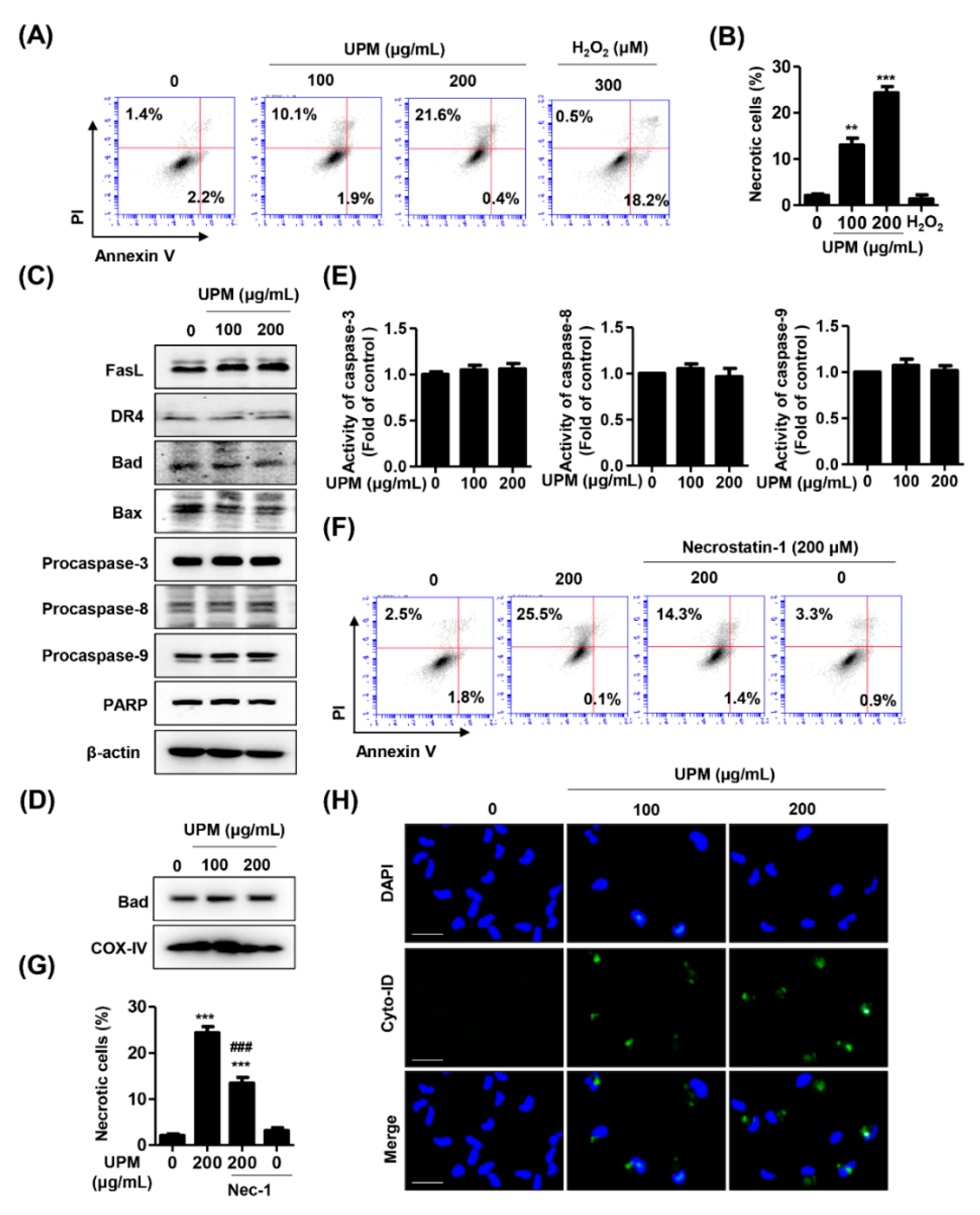 Antioxidants 10 00149 g002