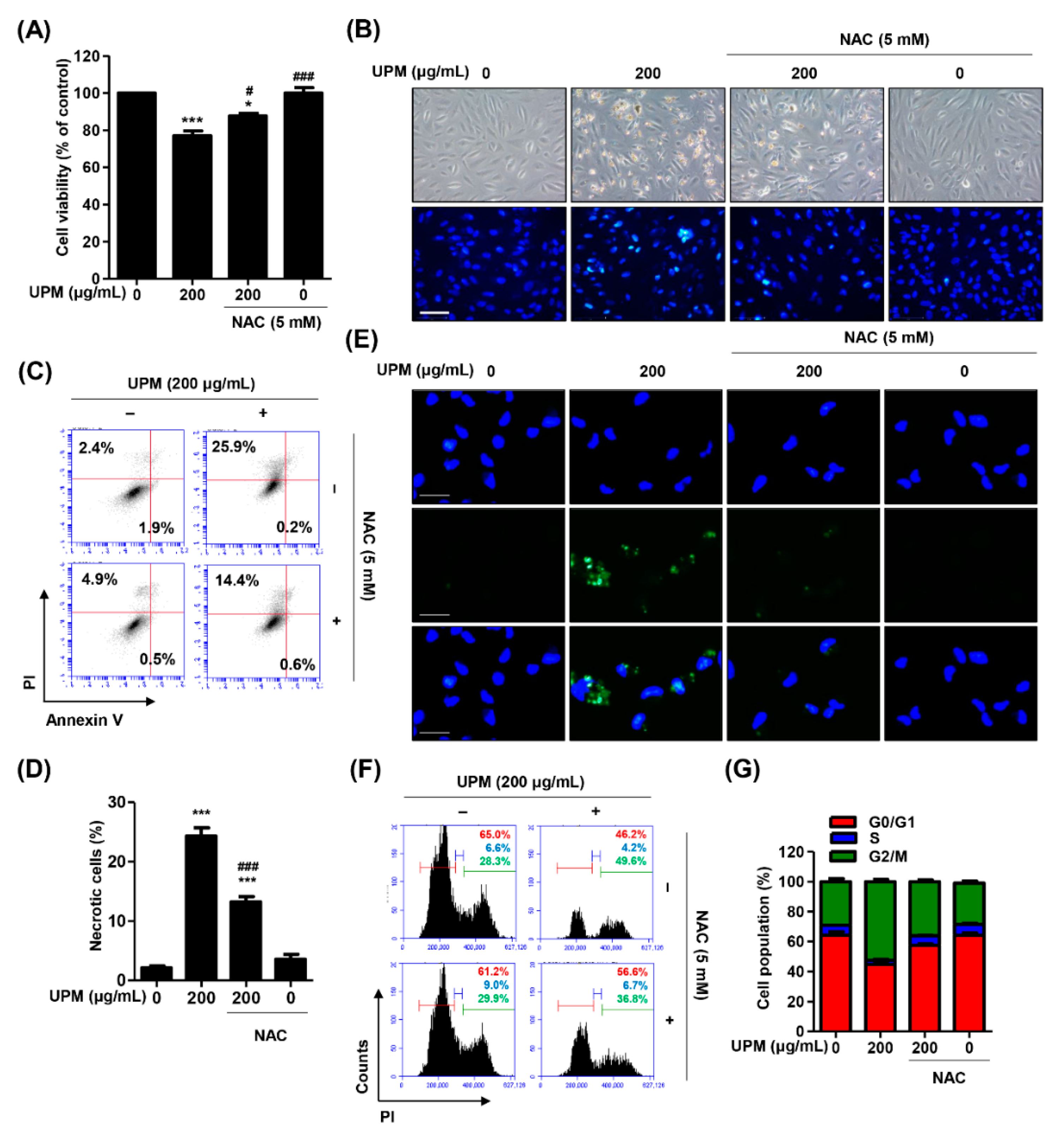 Antioxidants 10 00149 g005