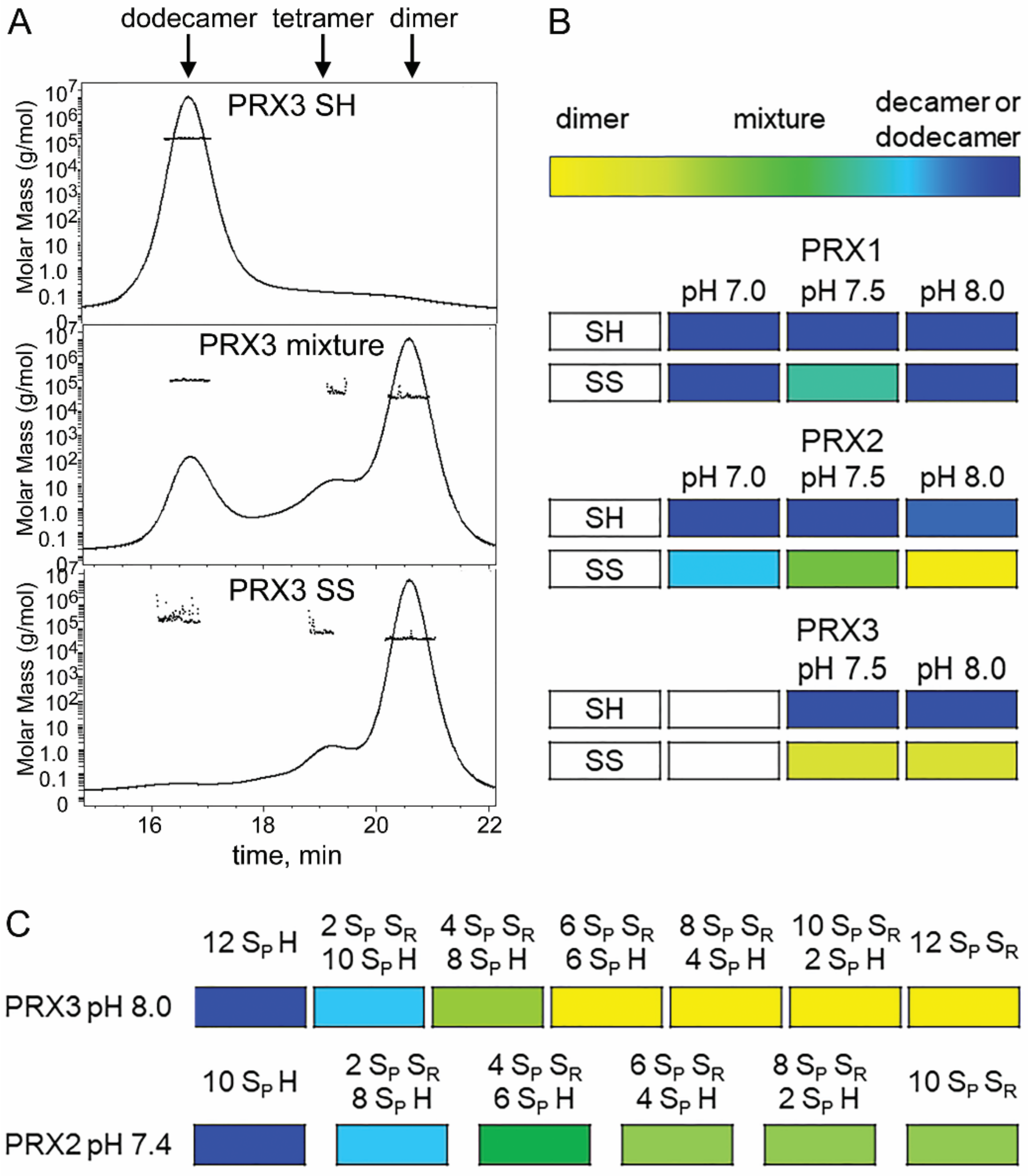 Antioxidants 10 00150 g005
