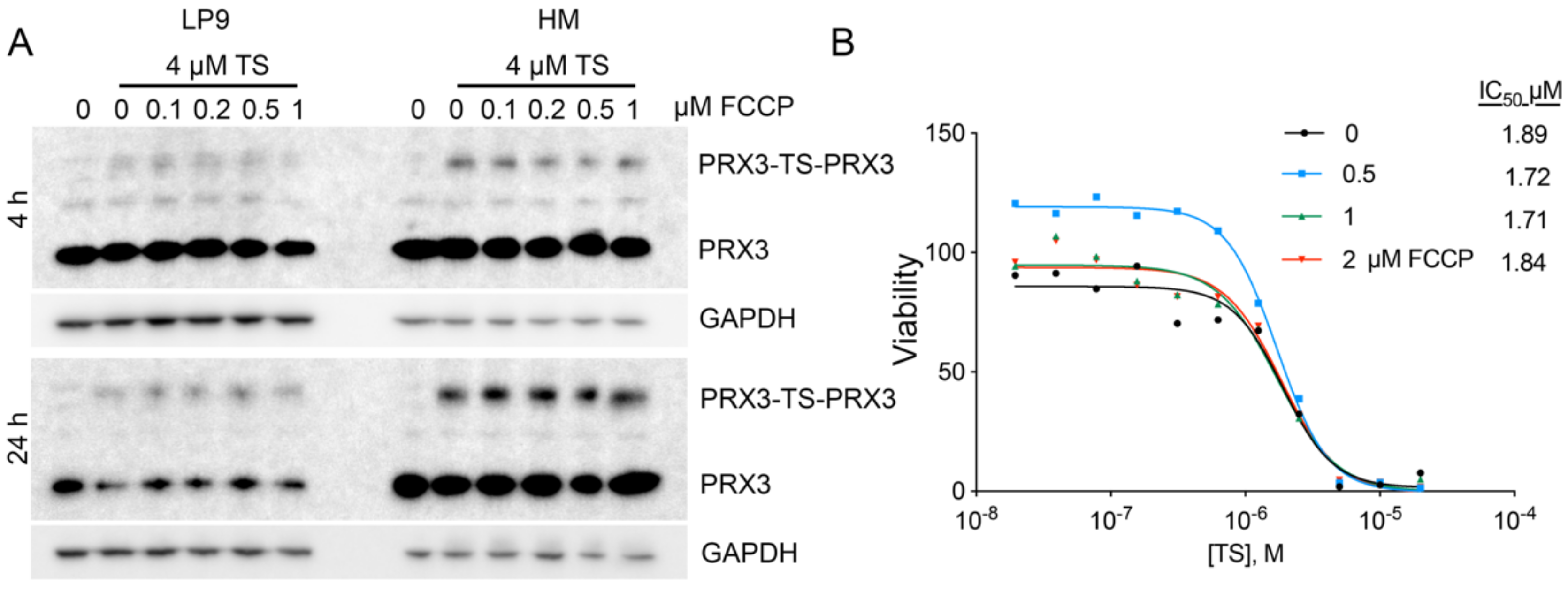 Antioxidants 10 00150 g007