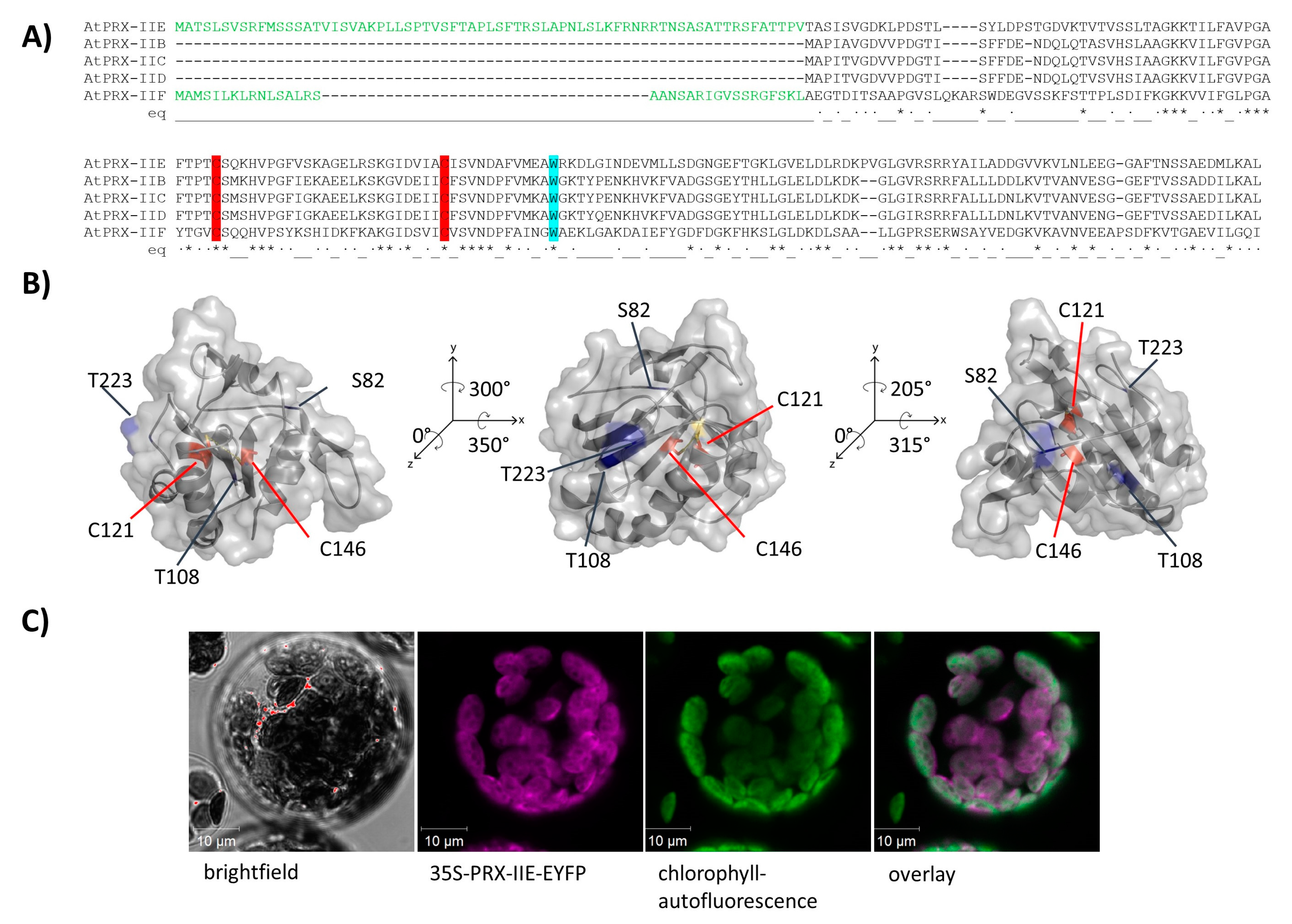 Antioxidants 10 00152 g001