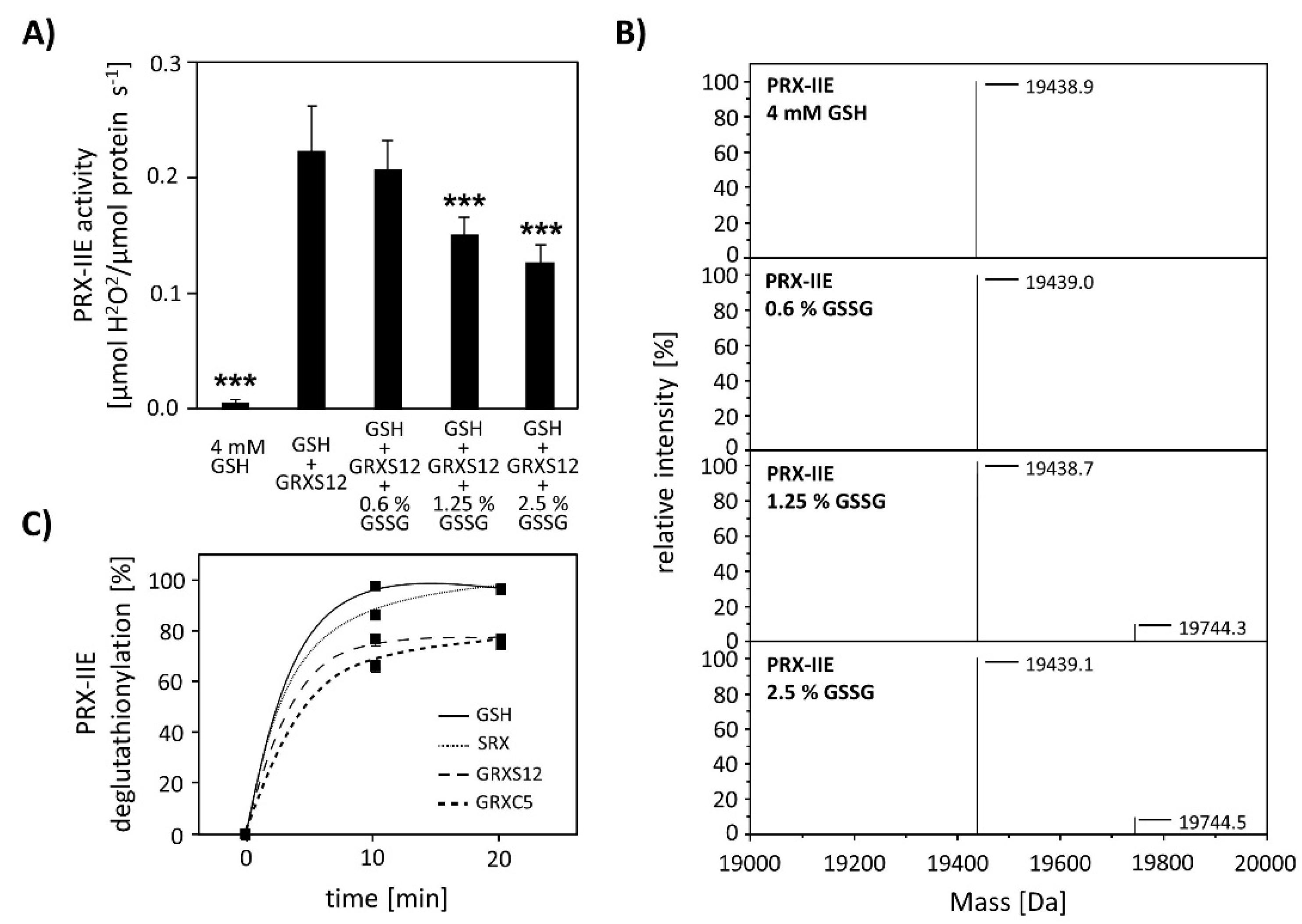 Antioxidants 10 00152 g008