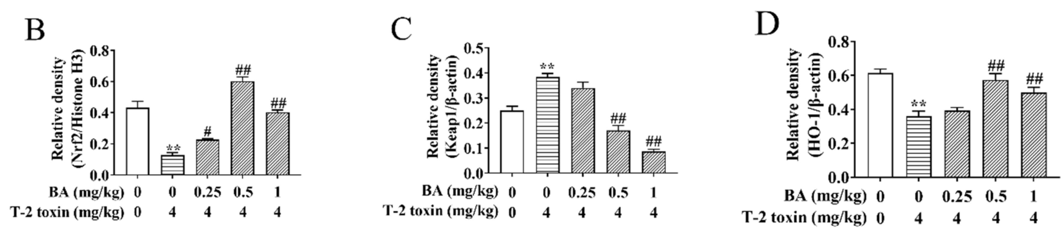 Antioxidants 10 00158 g006b