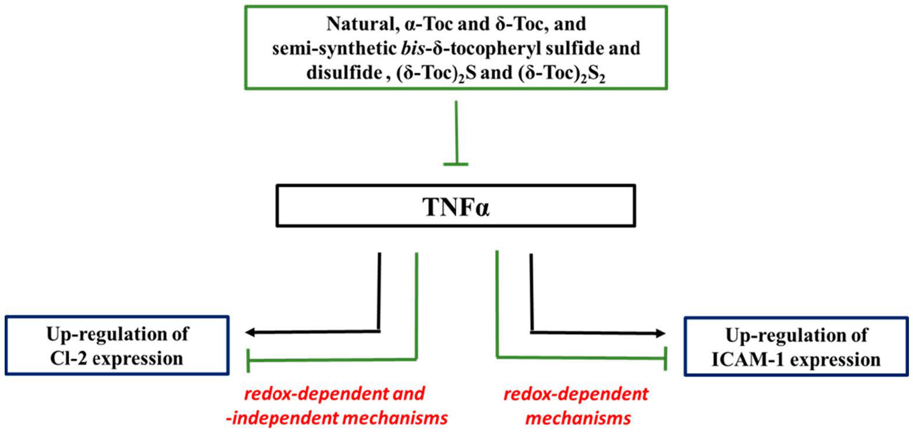 Antioxidants 10 00160 g006