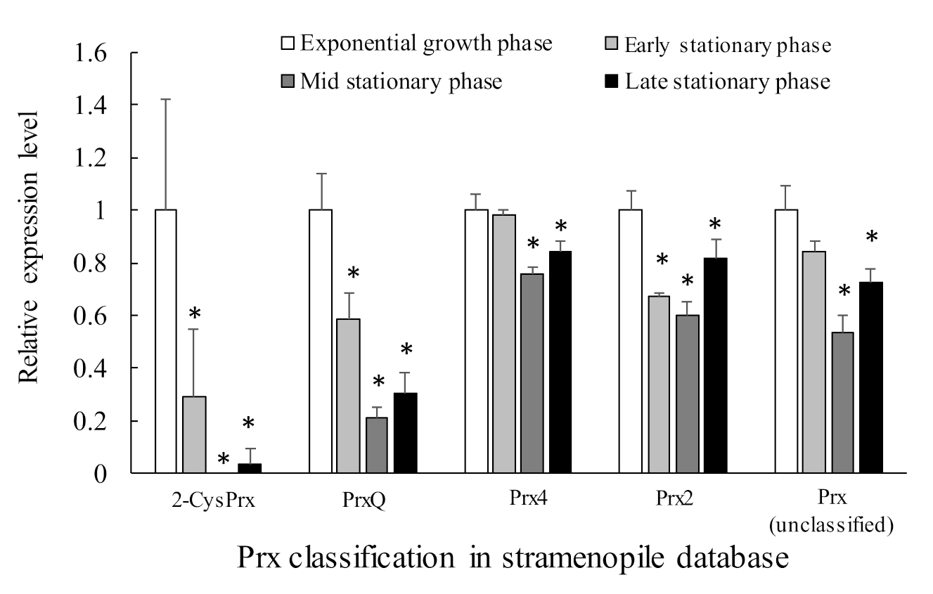 Antioxidants 10 00162 g008