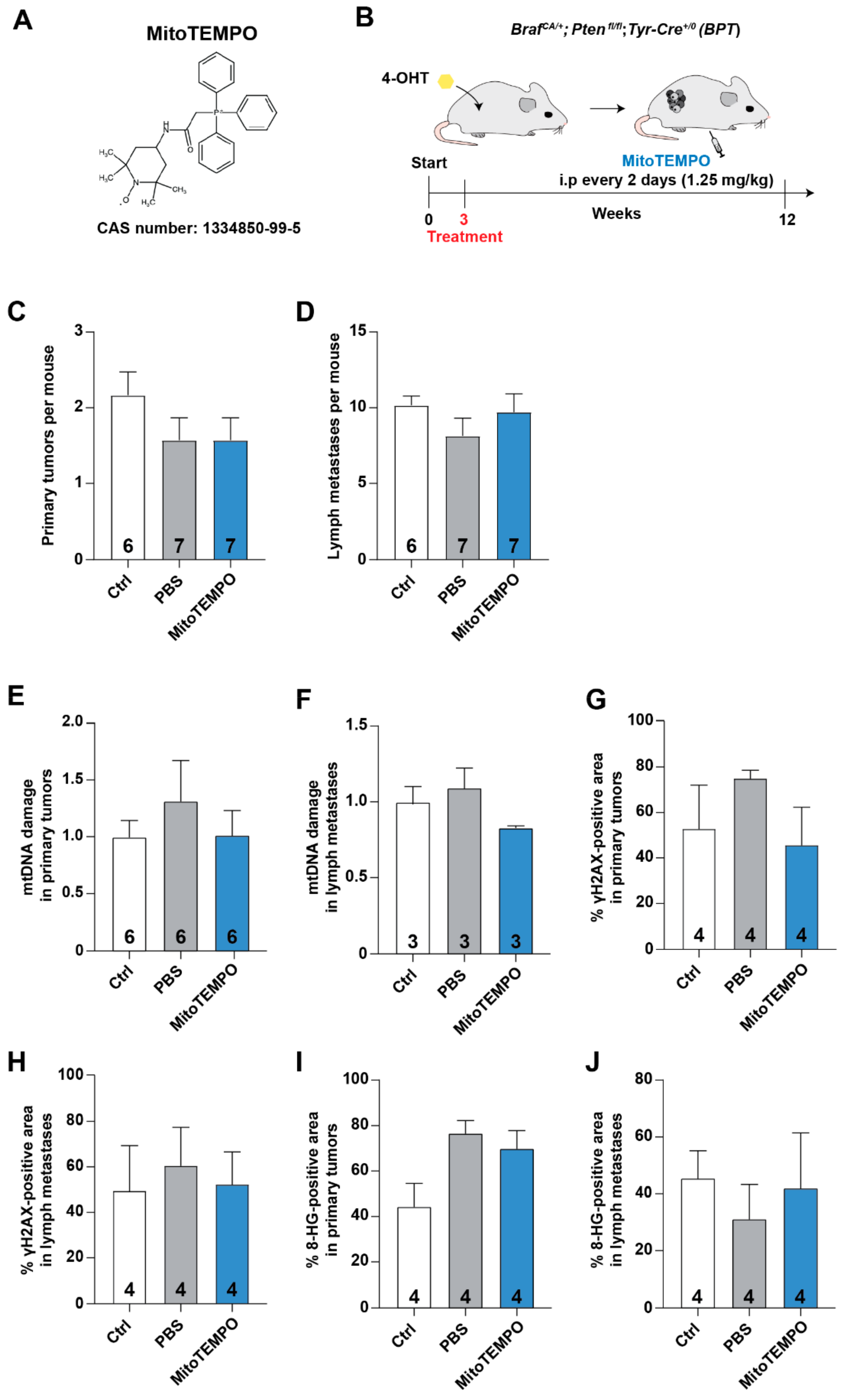 Antioxidants 10 00163 g002