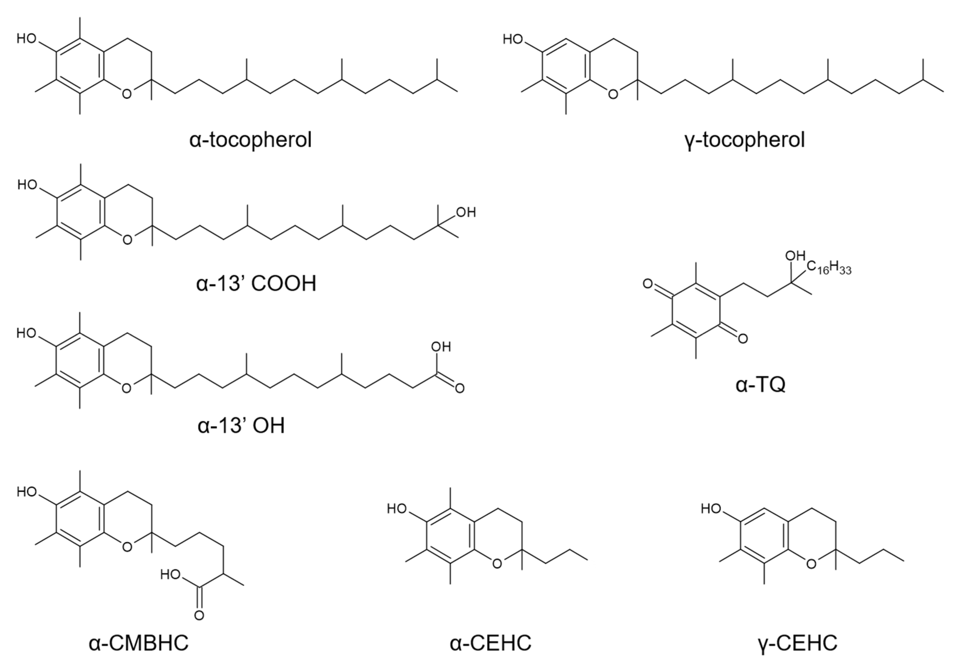 Antioxidants 10 00173 g001 Antioxidants 10 00173 g001