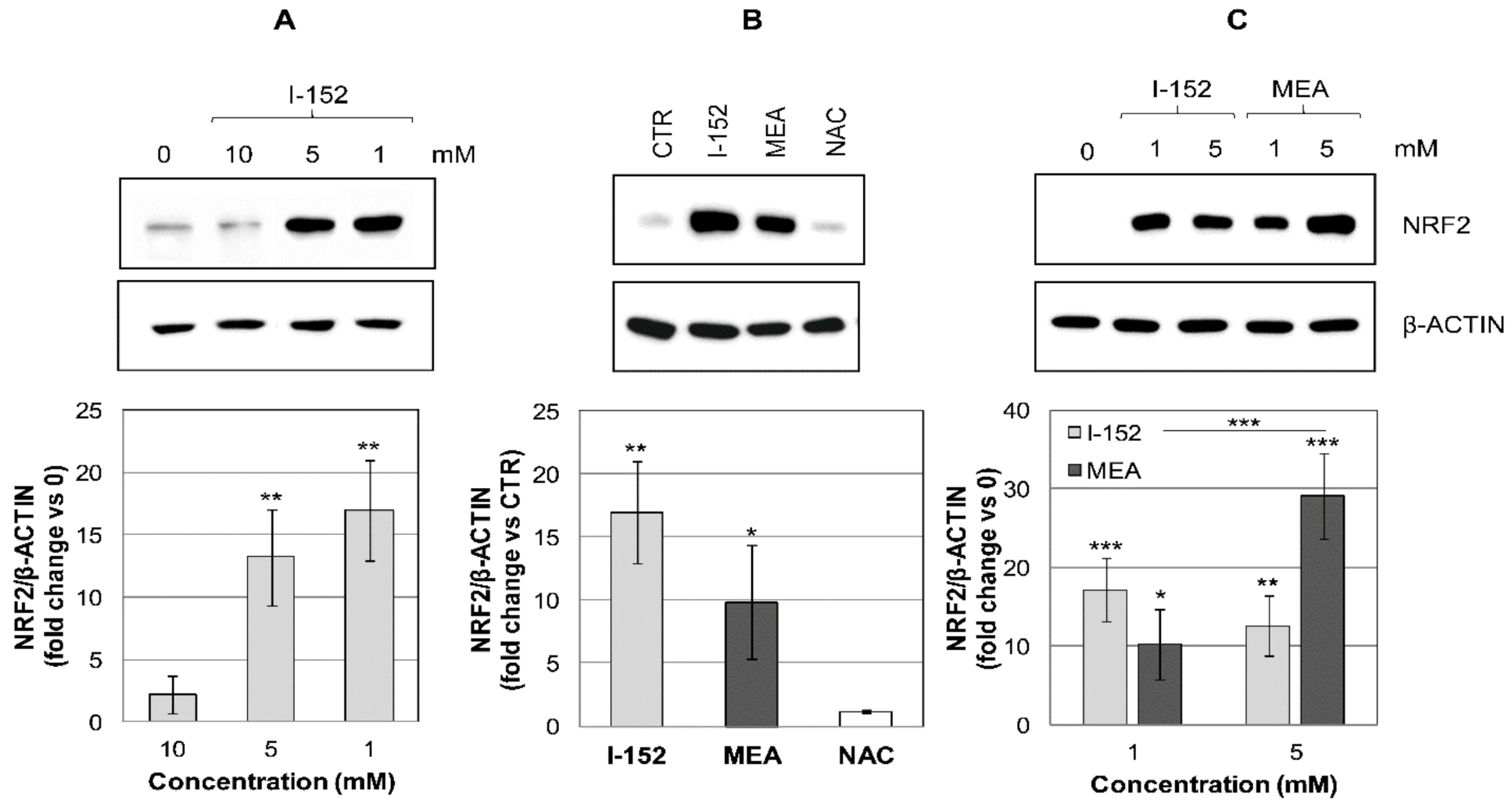 Antioxidants 10 00175 g001
