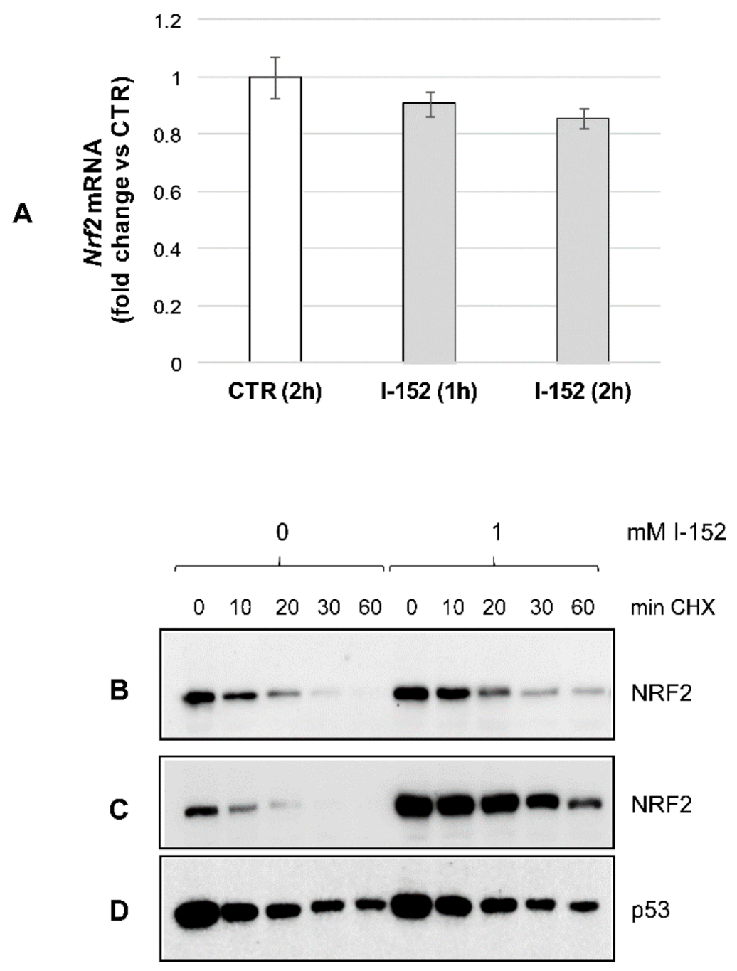 Antioxidants 10 00175 g003