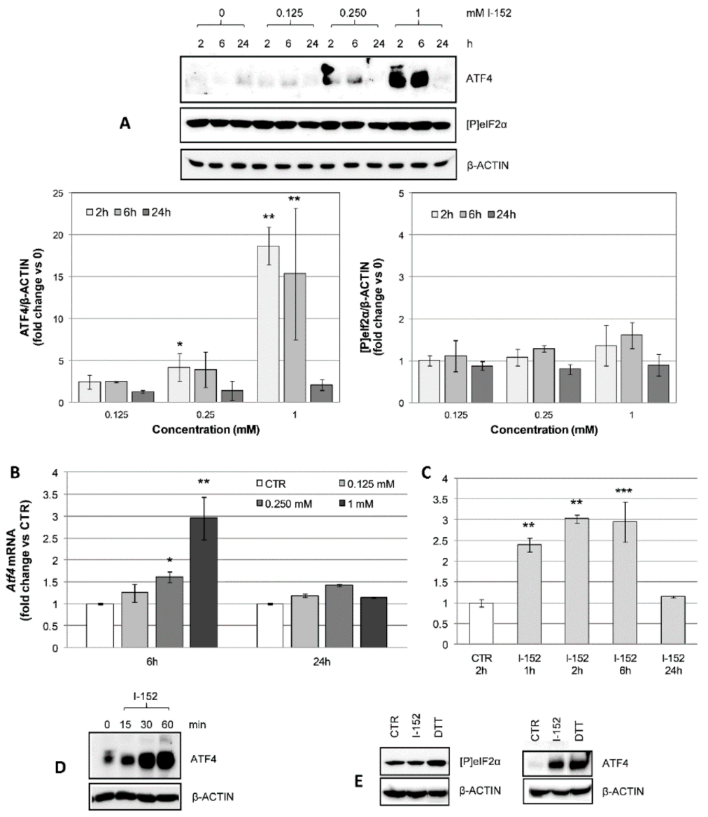 Antioxidants 10 00175 g007