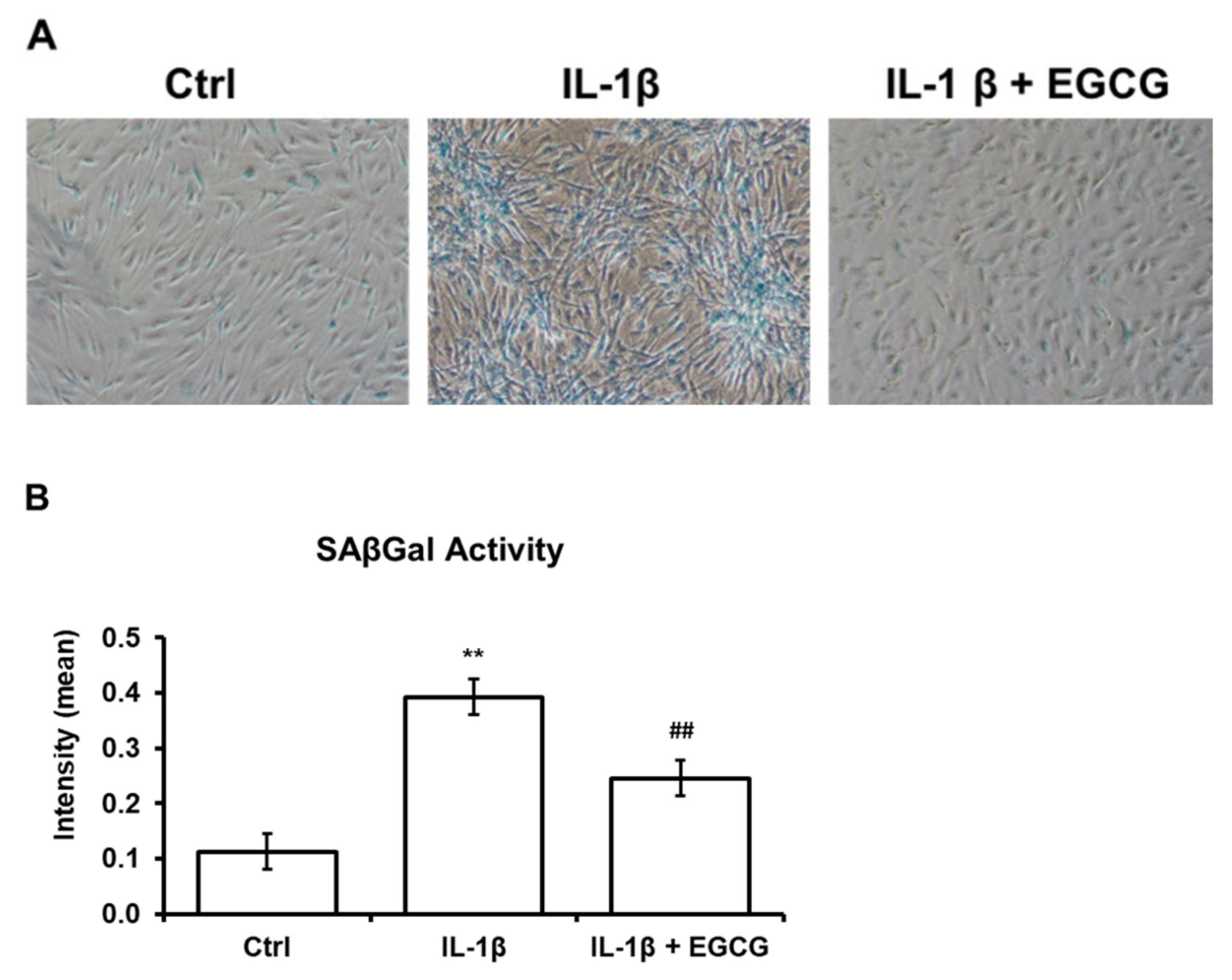 Antioxidants 10 00178 g003