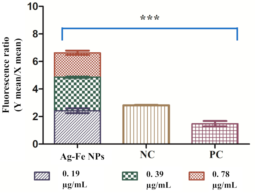 Antioxidants 10 00182 g006