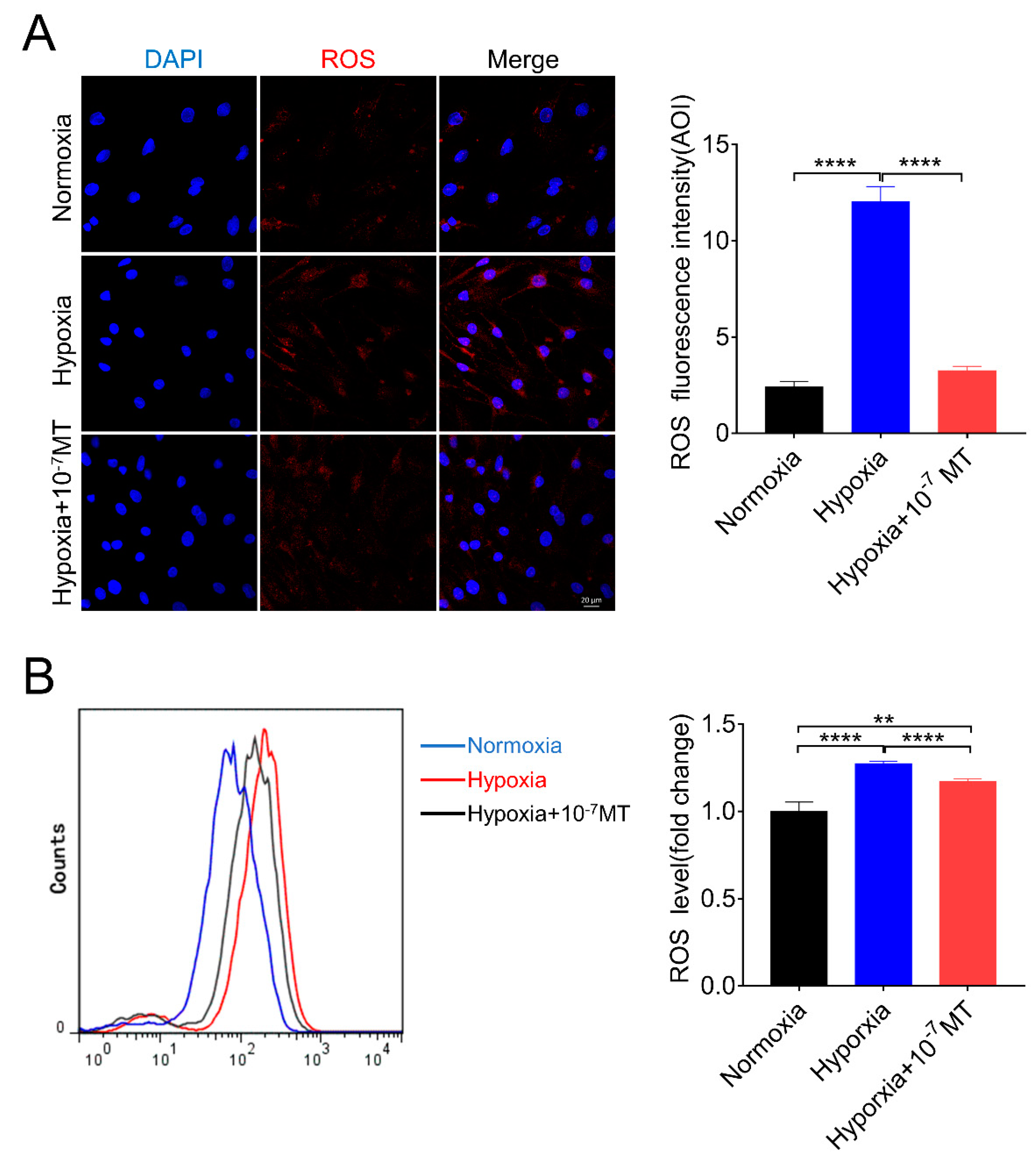 Antioxidants 10 00184 g002