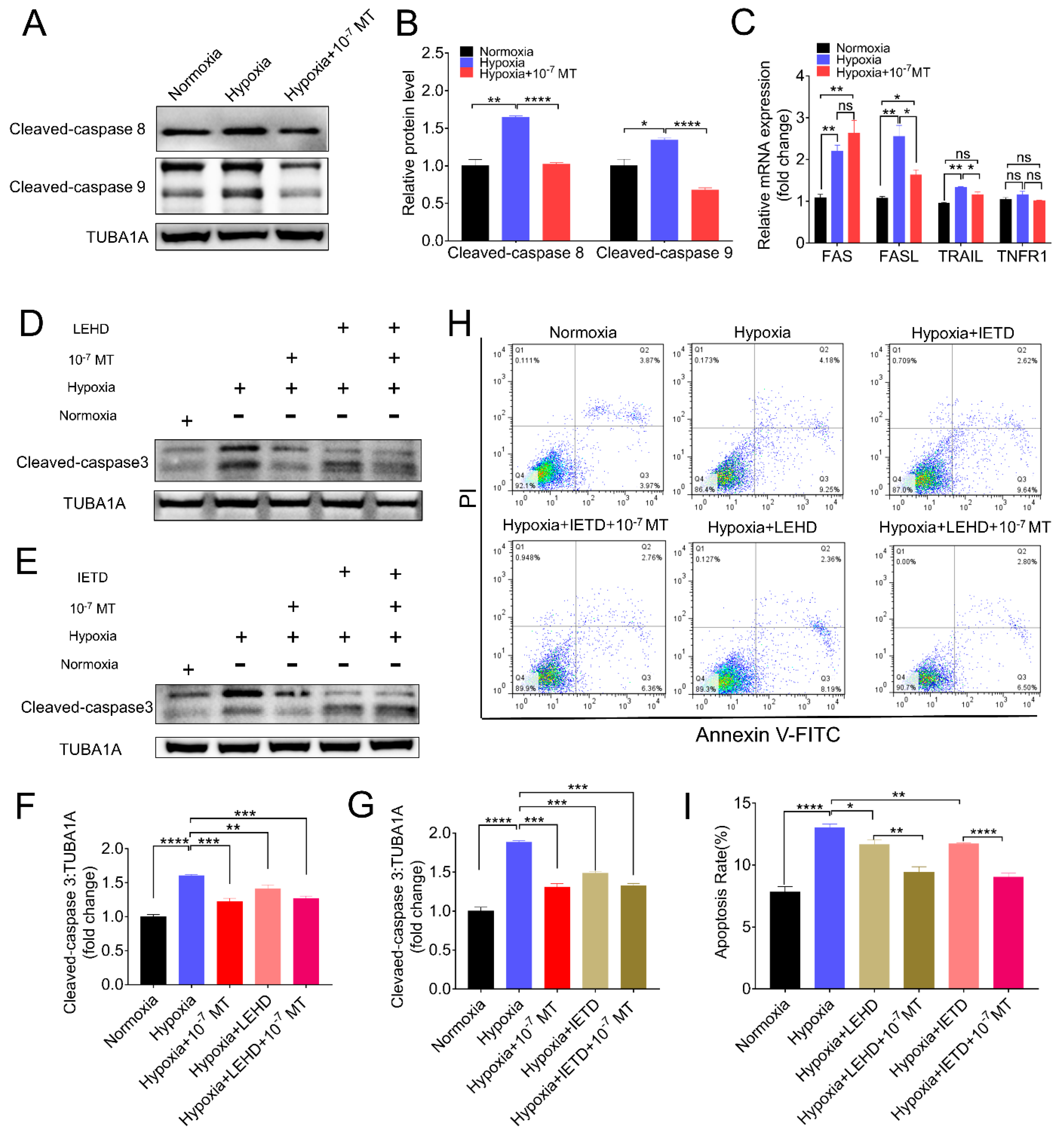 Antioxidants 10 00184 g004