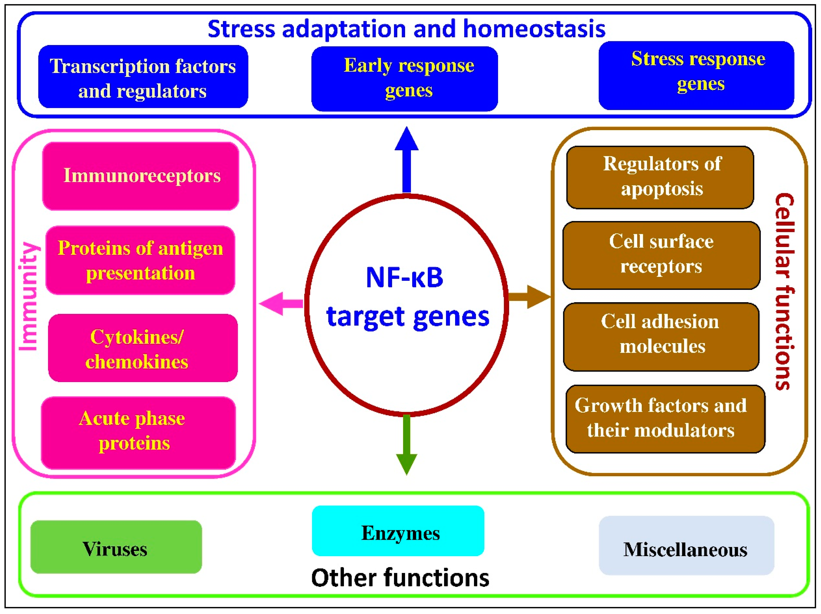 Antioxidants 10 00186 g001