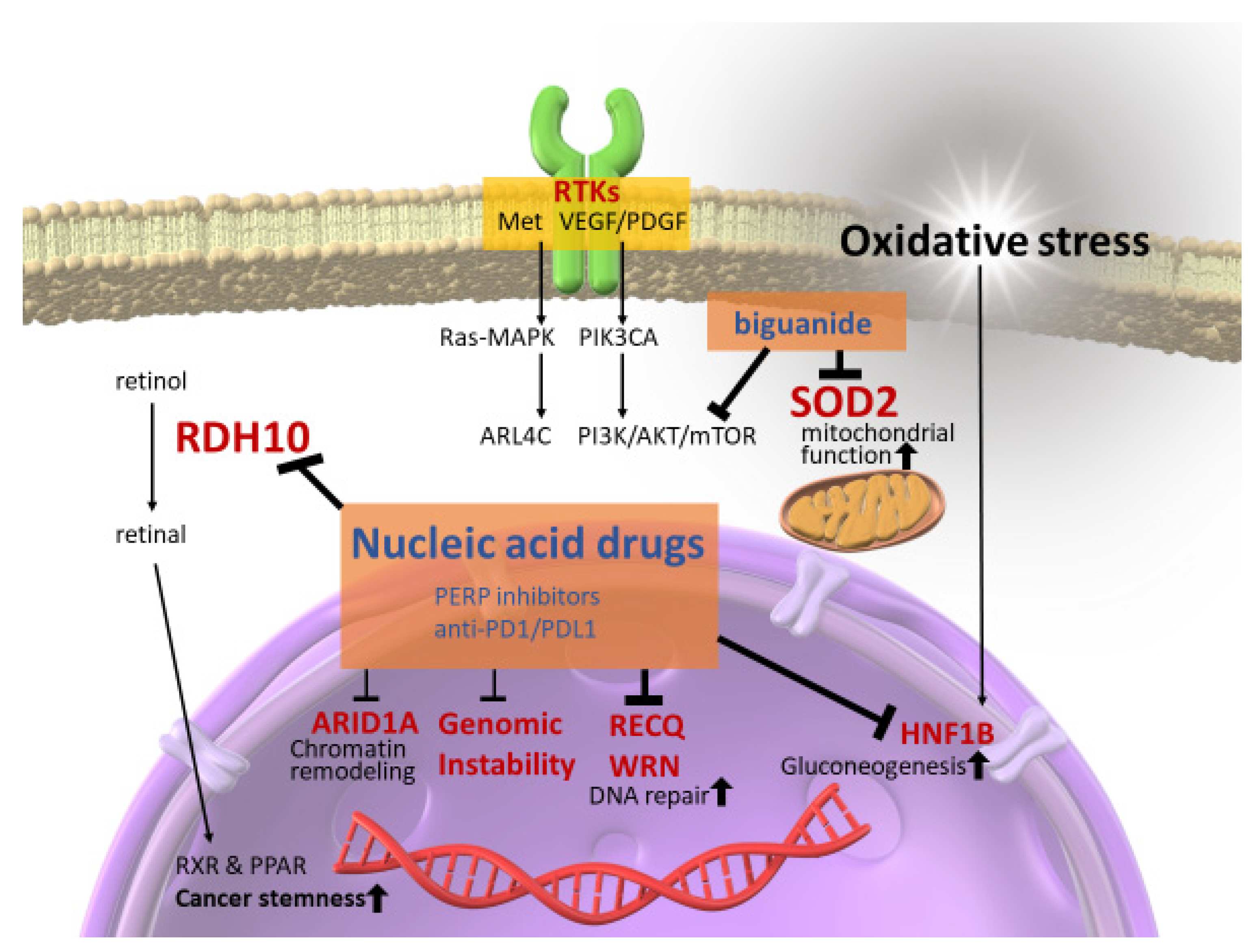 Antioxidants 10 00187 g001