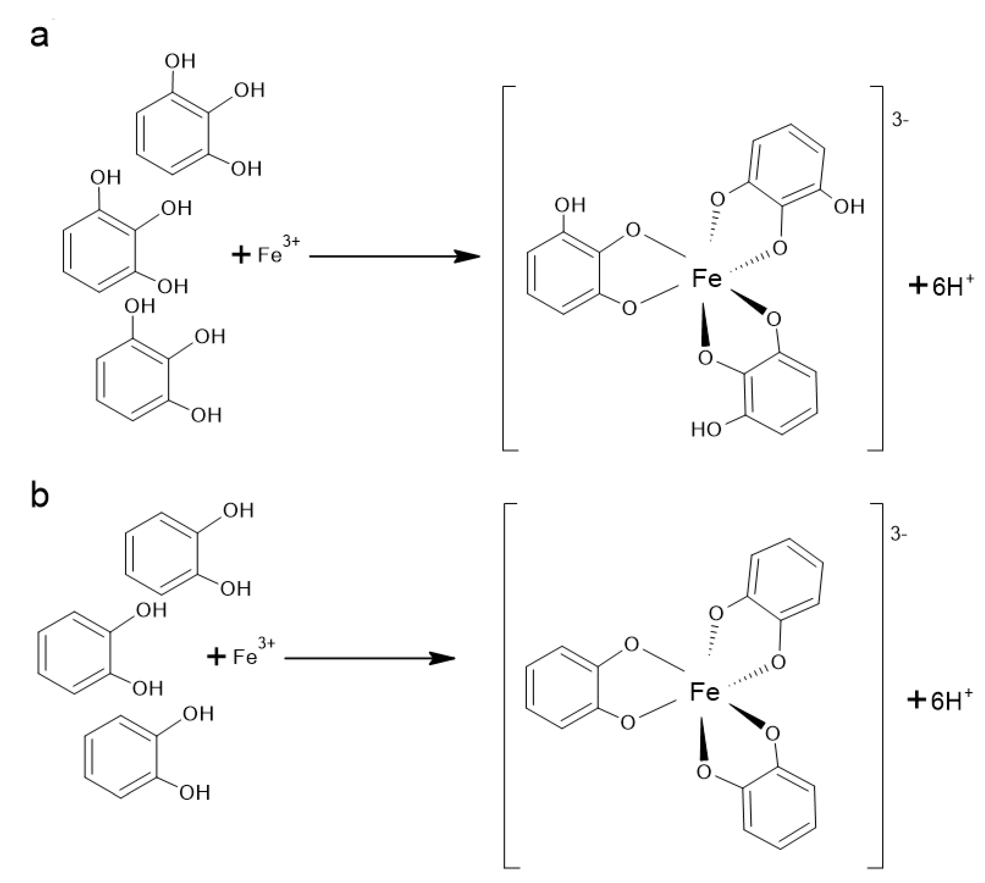 Antioxidants 10 00188 g003