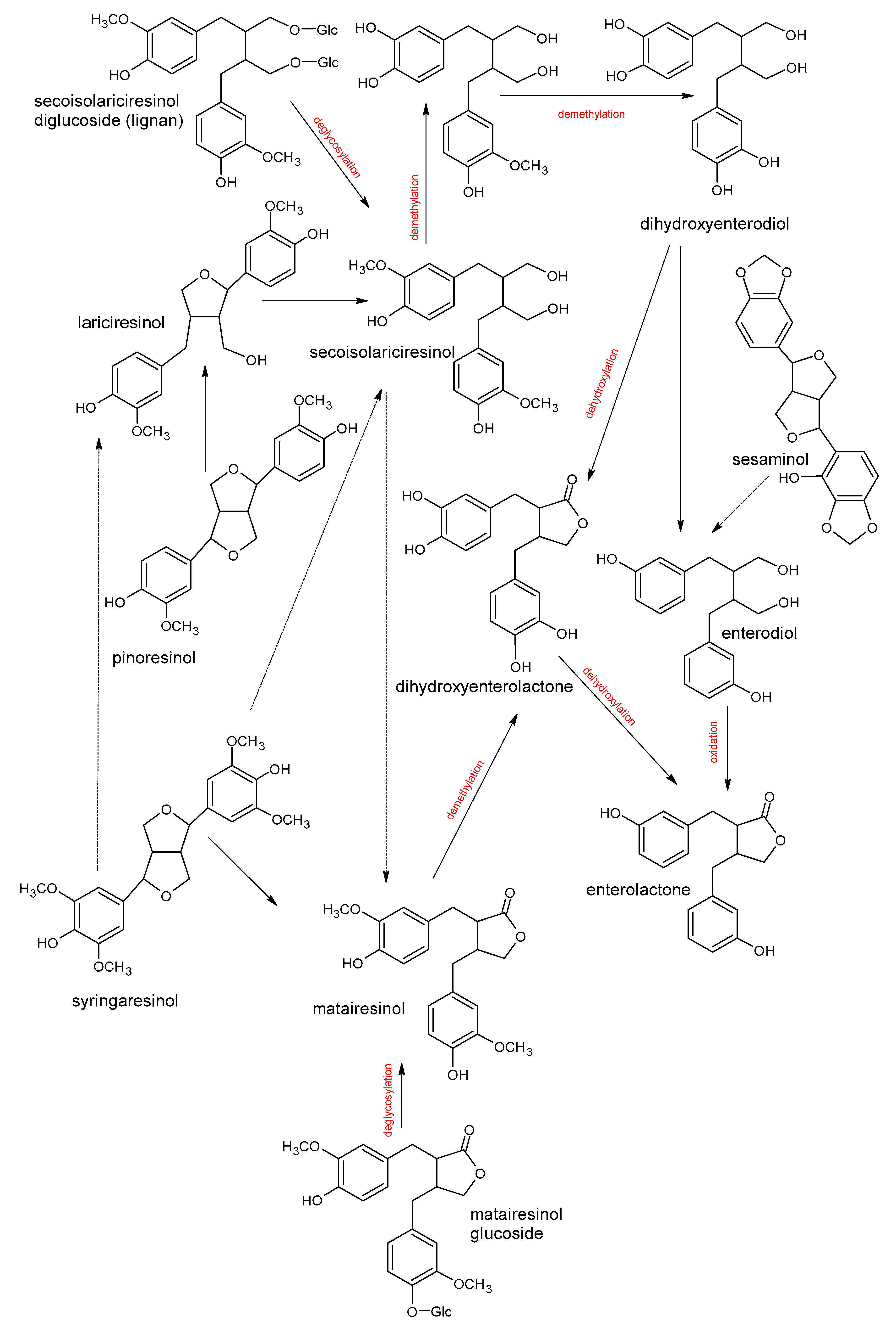 Antioxidants 10 00188 g008