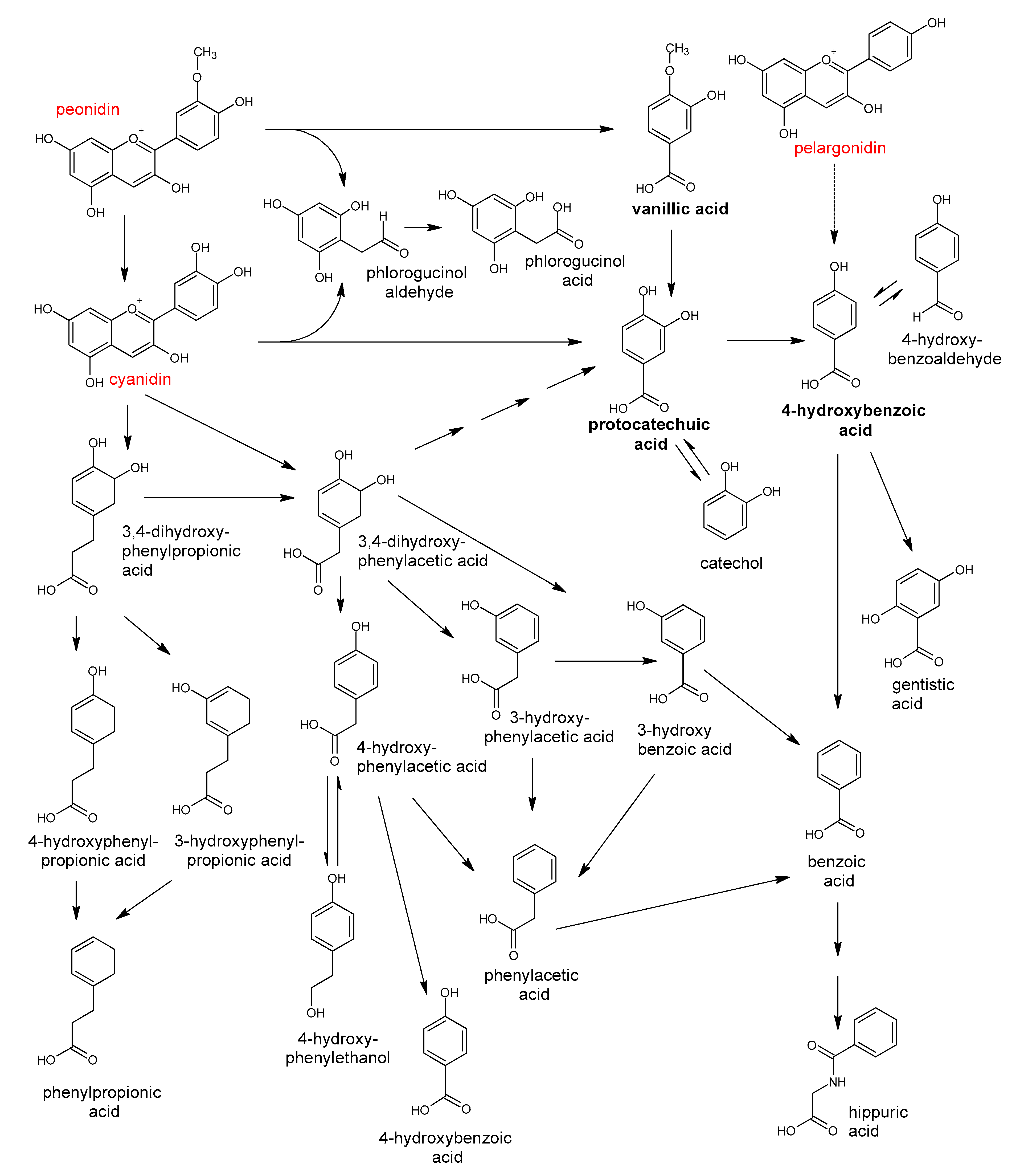 Antioxidants 10 00188 g014