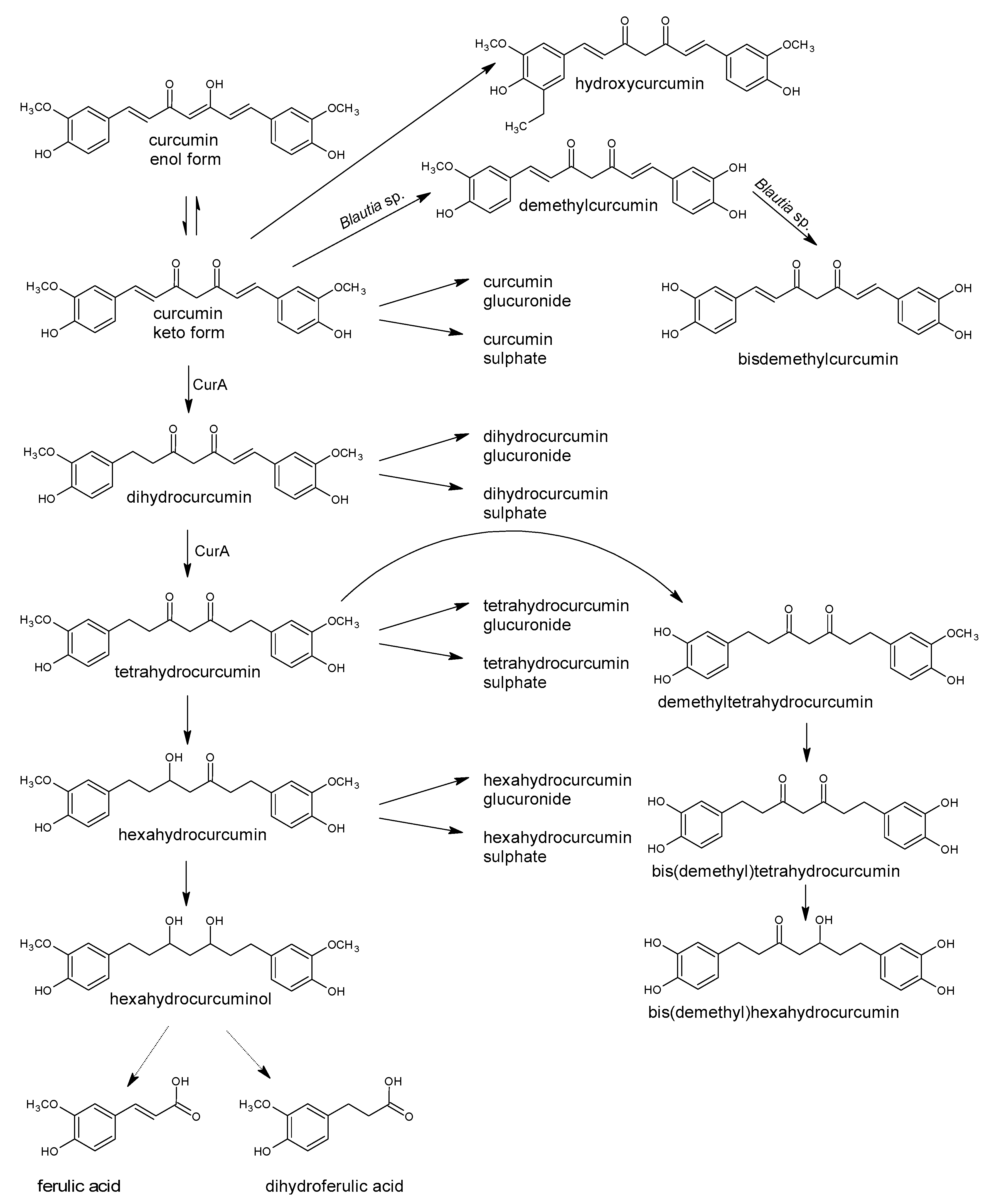 Antioxidants 10 00188 g020