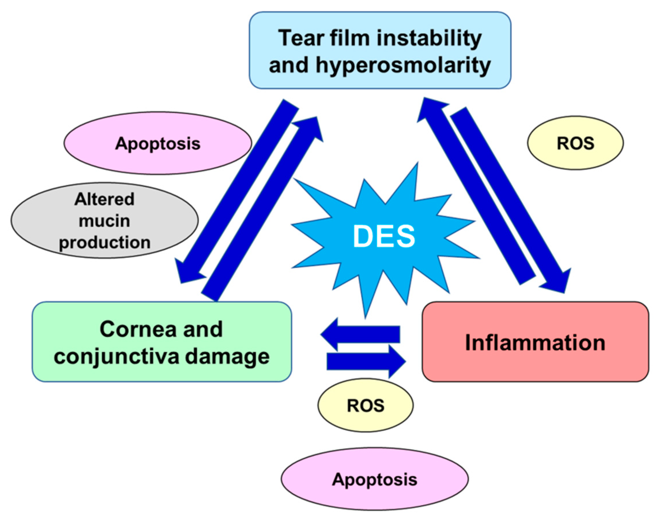 Antioxidants 10 00190 g001