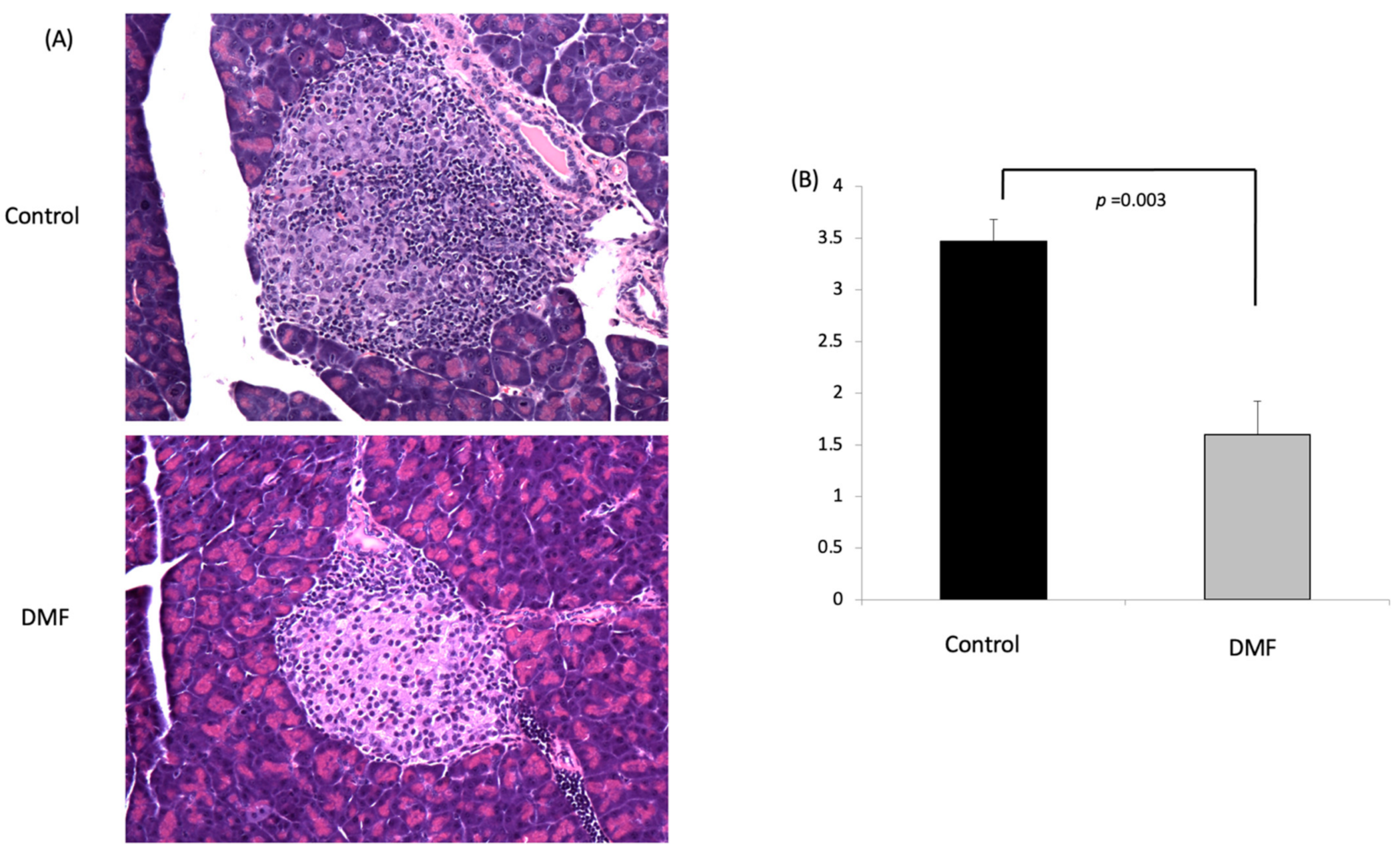 Antioxidants 10 00193 g004