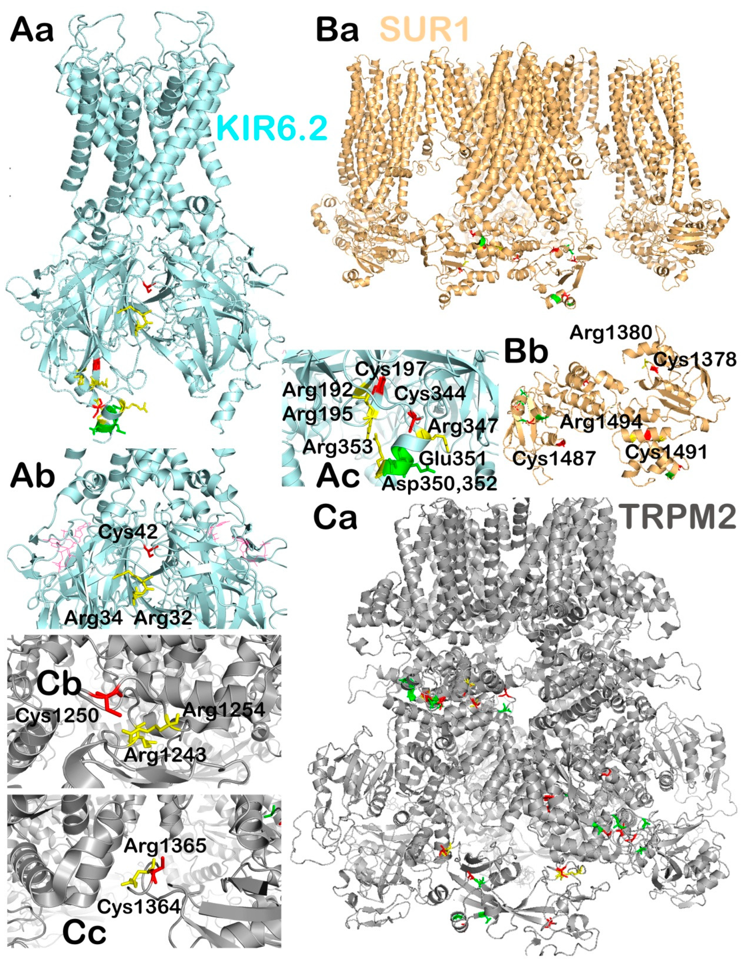 Antioxidants 10 00197 g004