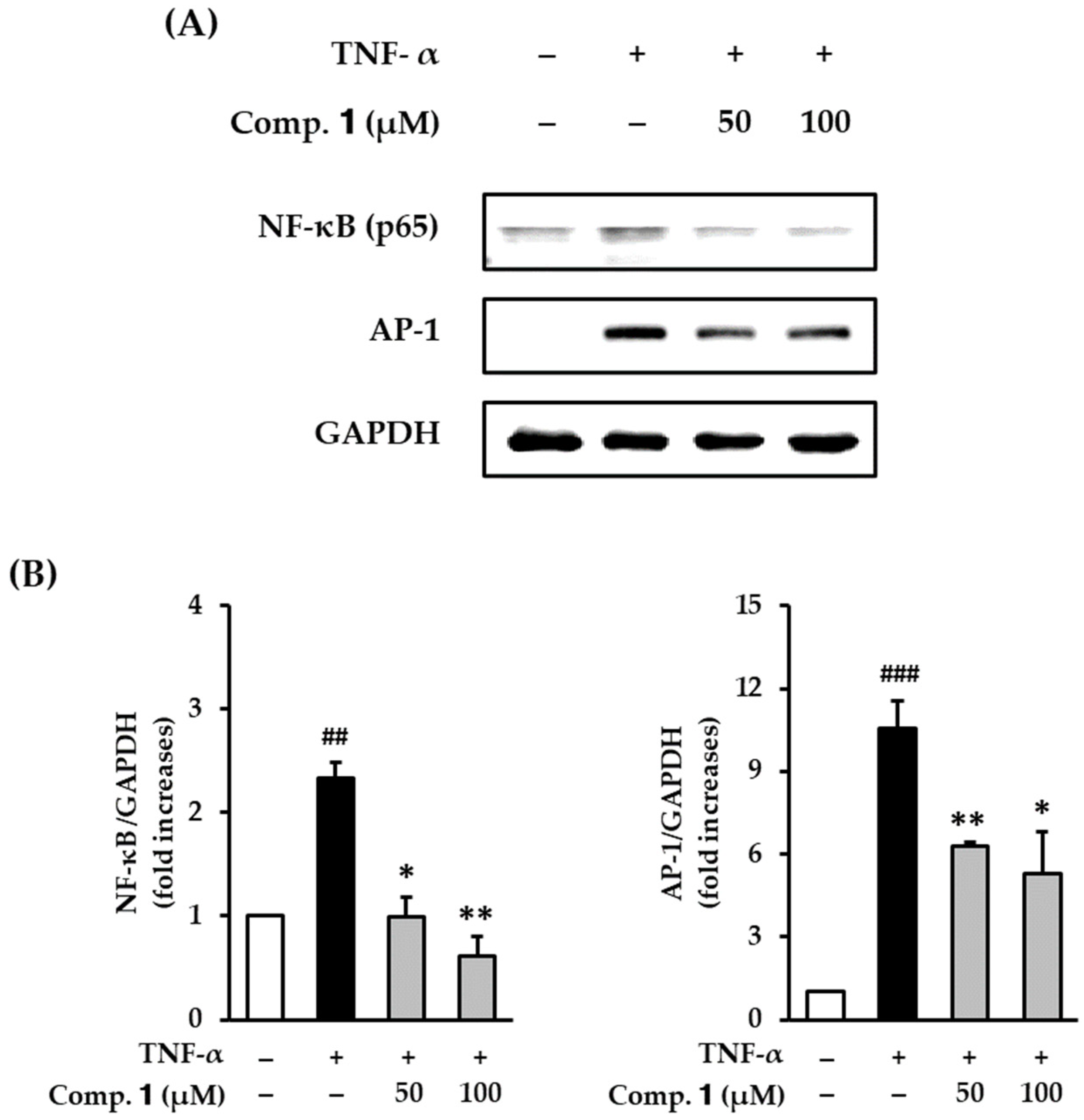 Antioxidants 10 00200 g006 Antioxidants 10 00200 g006