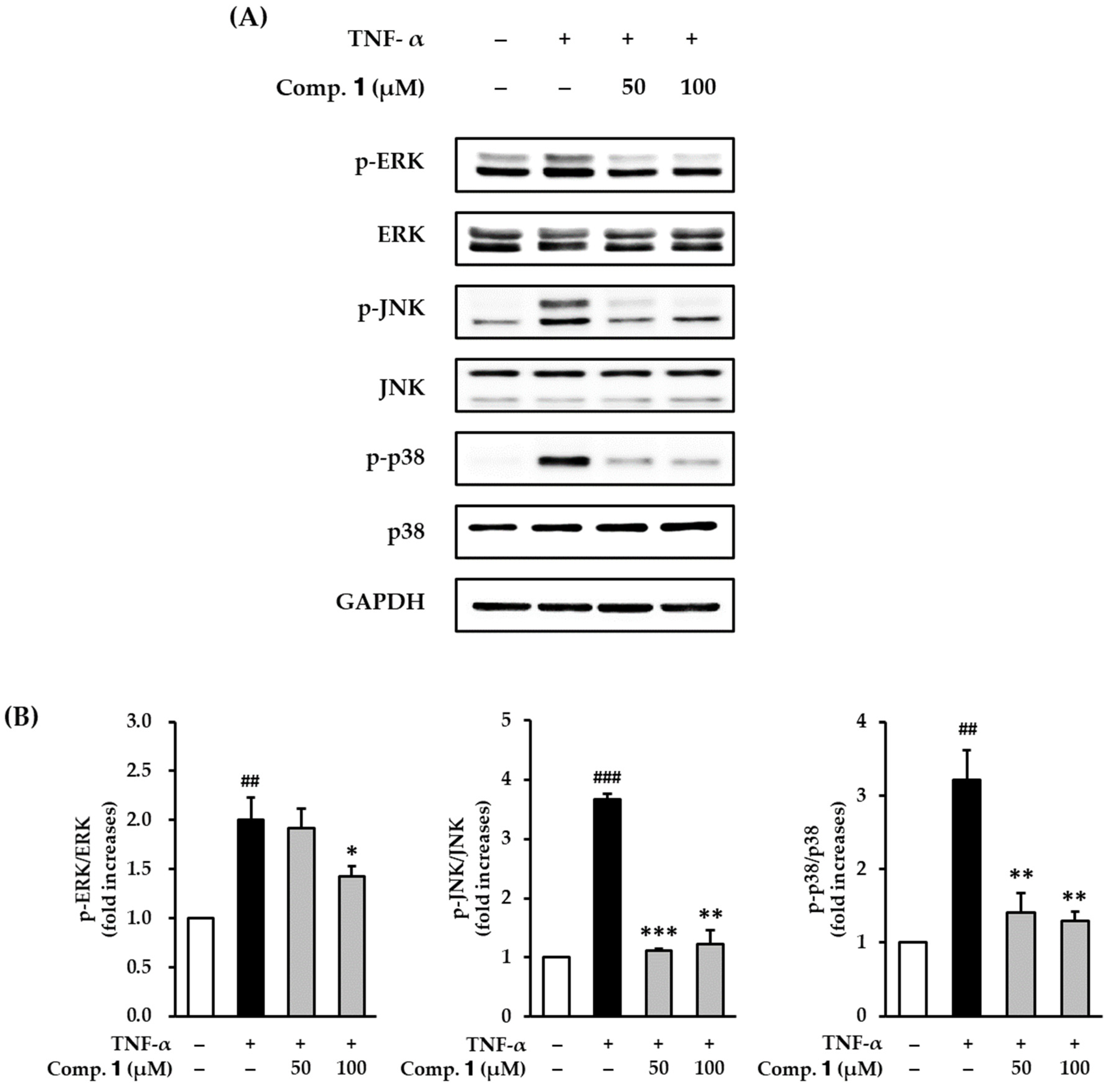 Antioxidants 10 00200 g007 Antioxidants 10 00200 g007