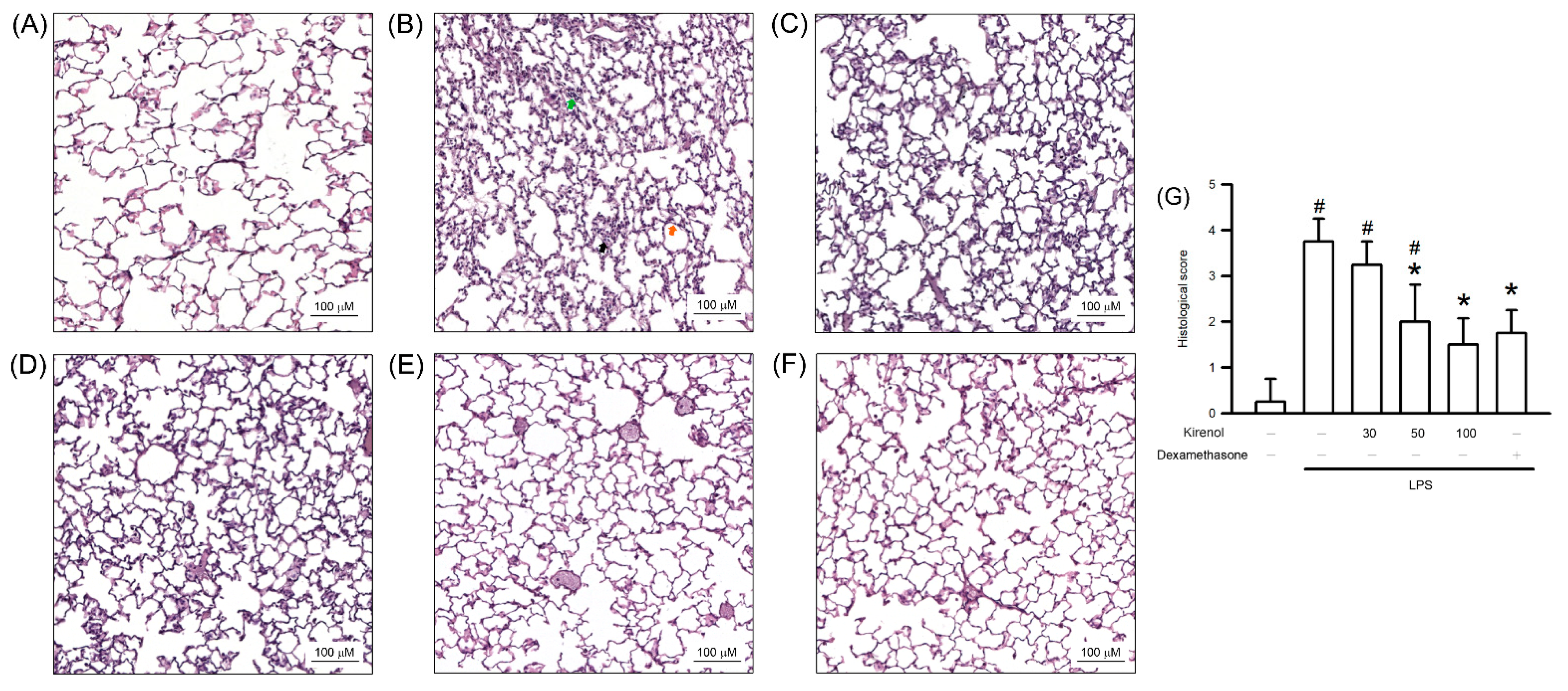 Antioxidants 10 00204 g001