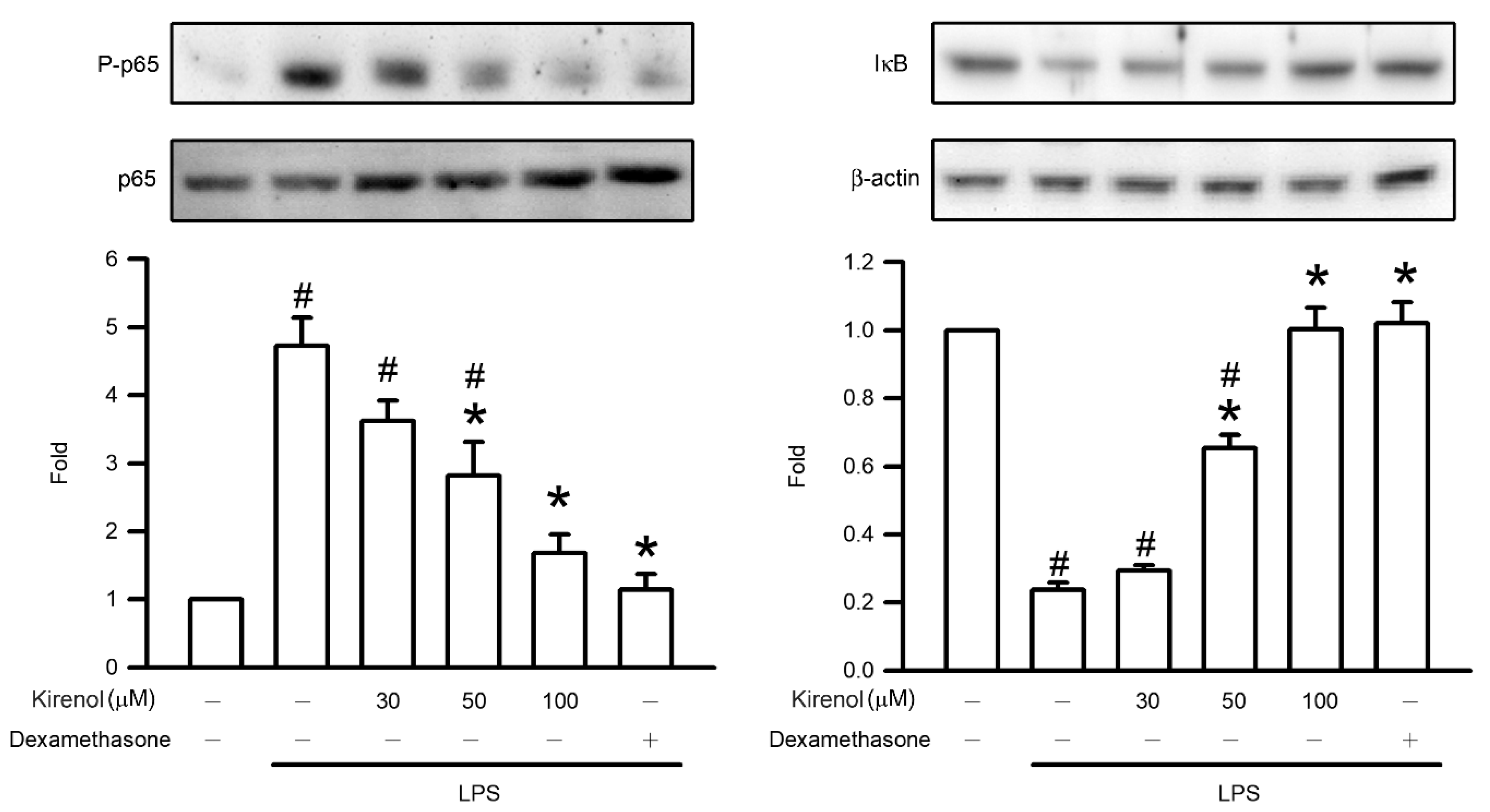 Antioxidants 10 00204 g004