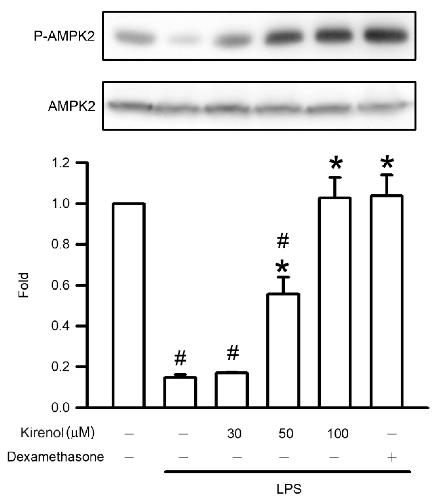 Antioxidants 10 00204 g008