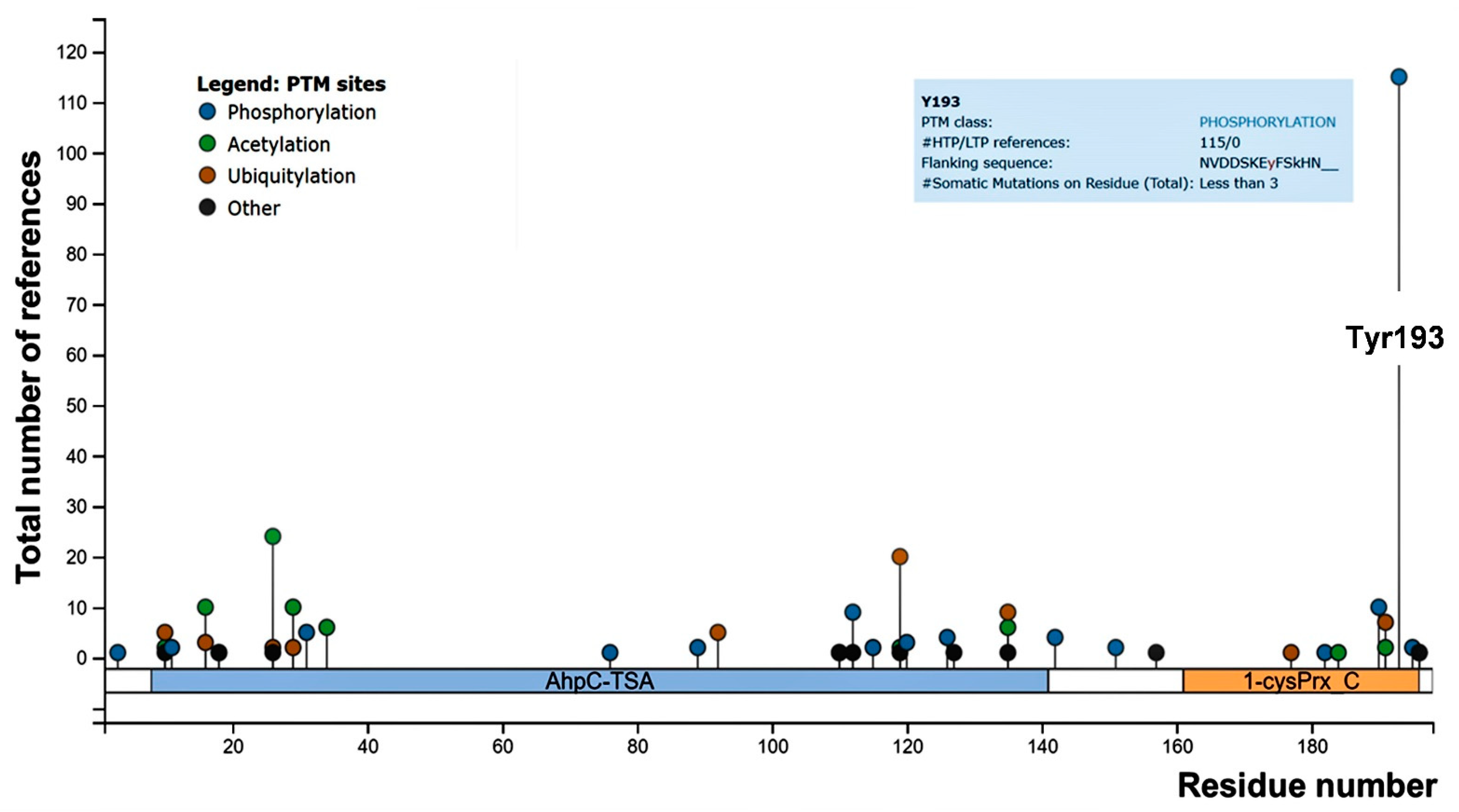 Antioxidants 10 00206 g001