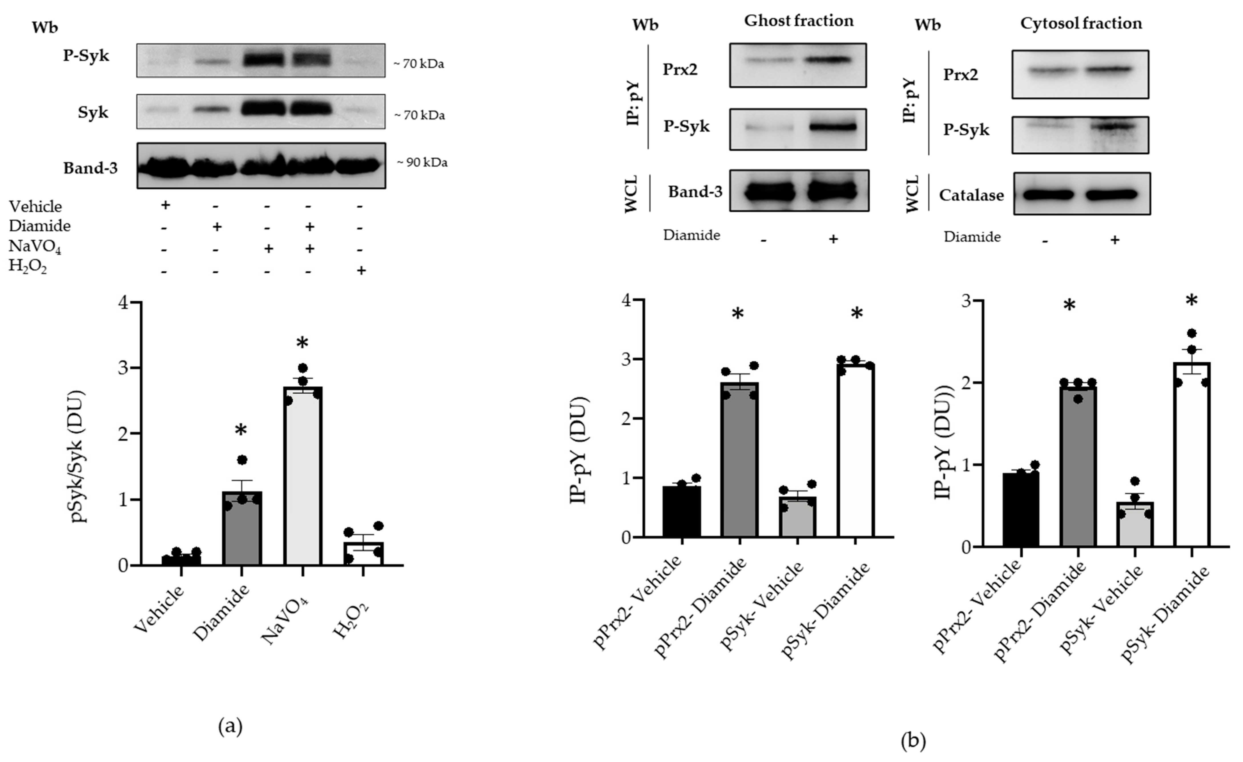 Antioxidants 10 00206 g003