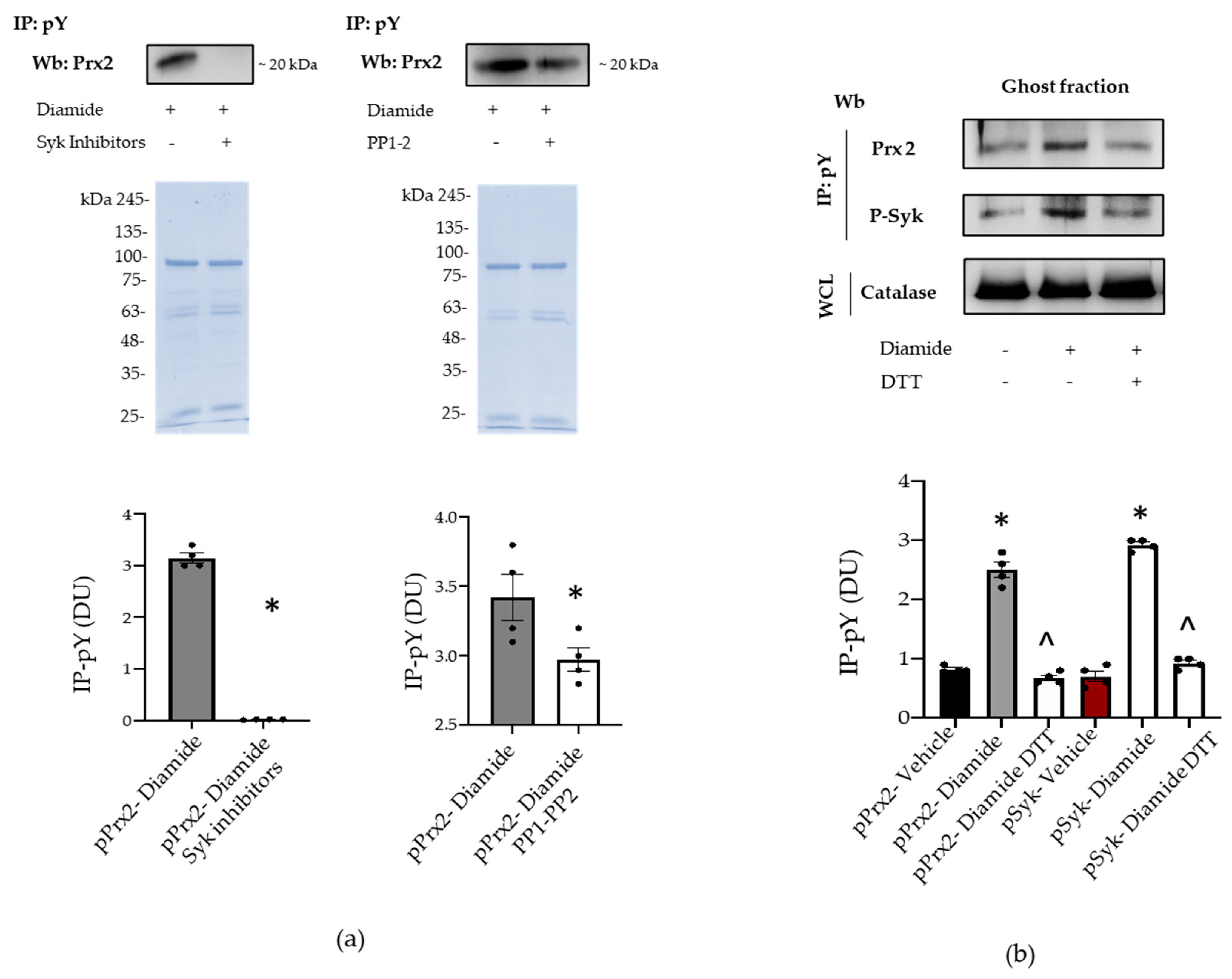 Antioxidants 10 00206 g004