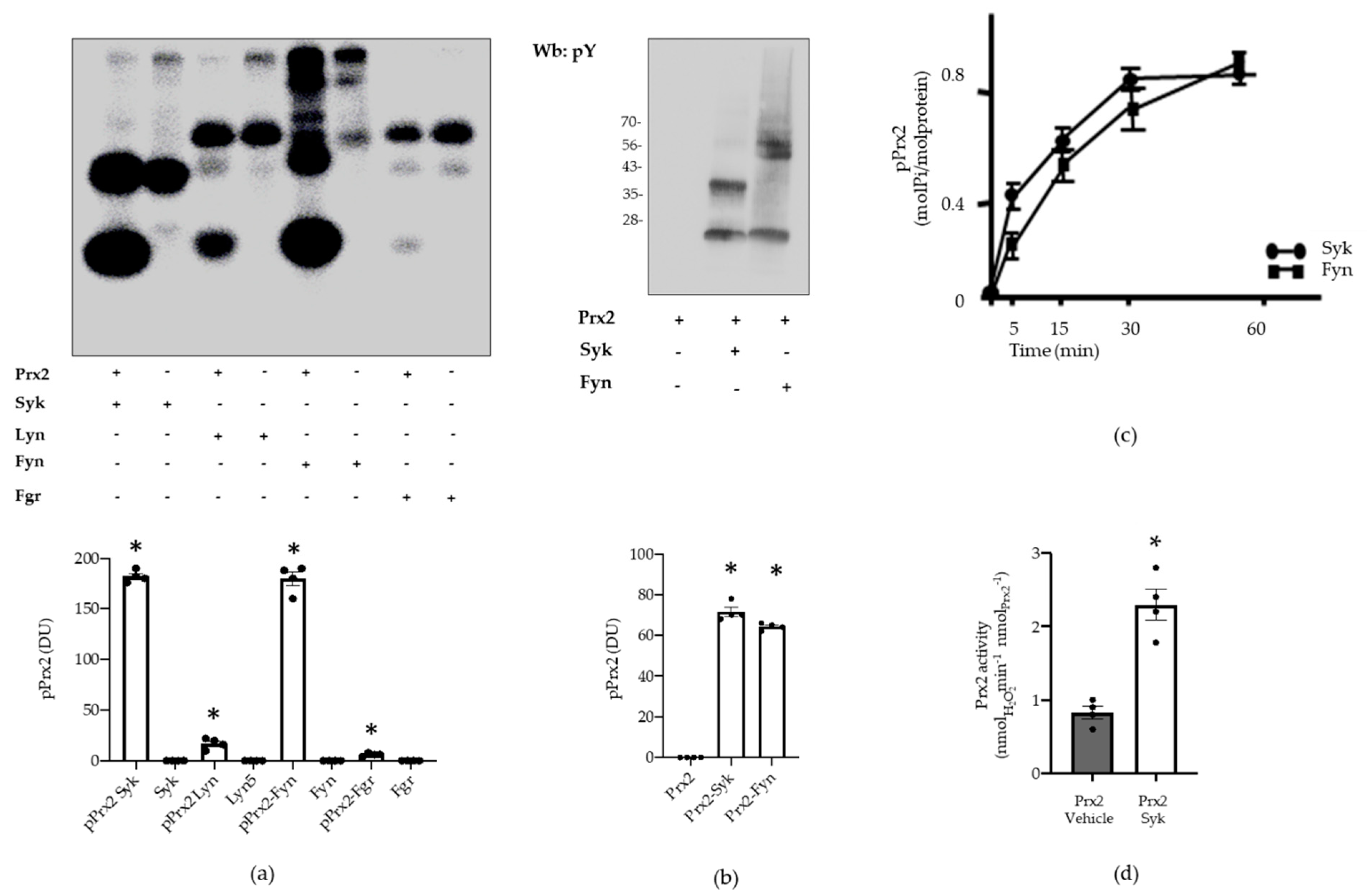Antioxidants 10 00206 g005