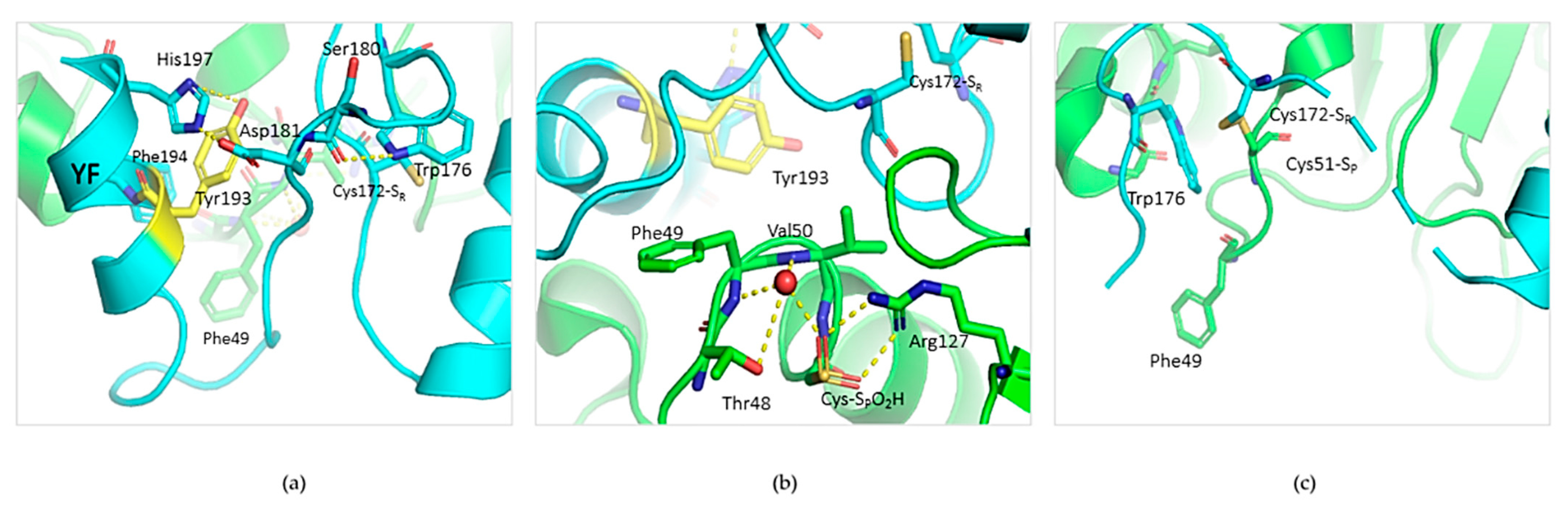 Antioxidants 10 00206 g007