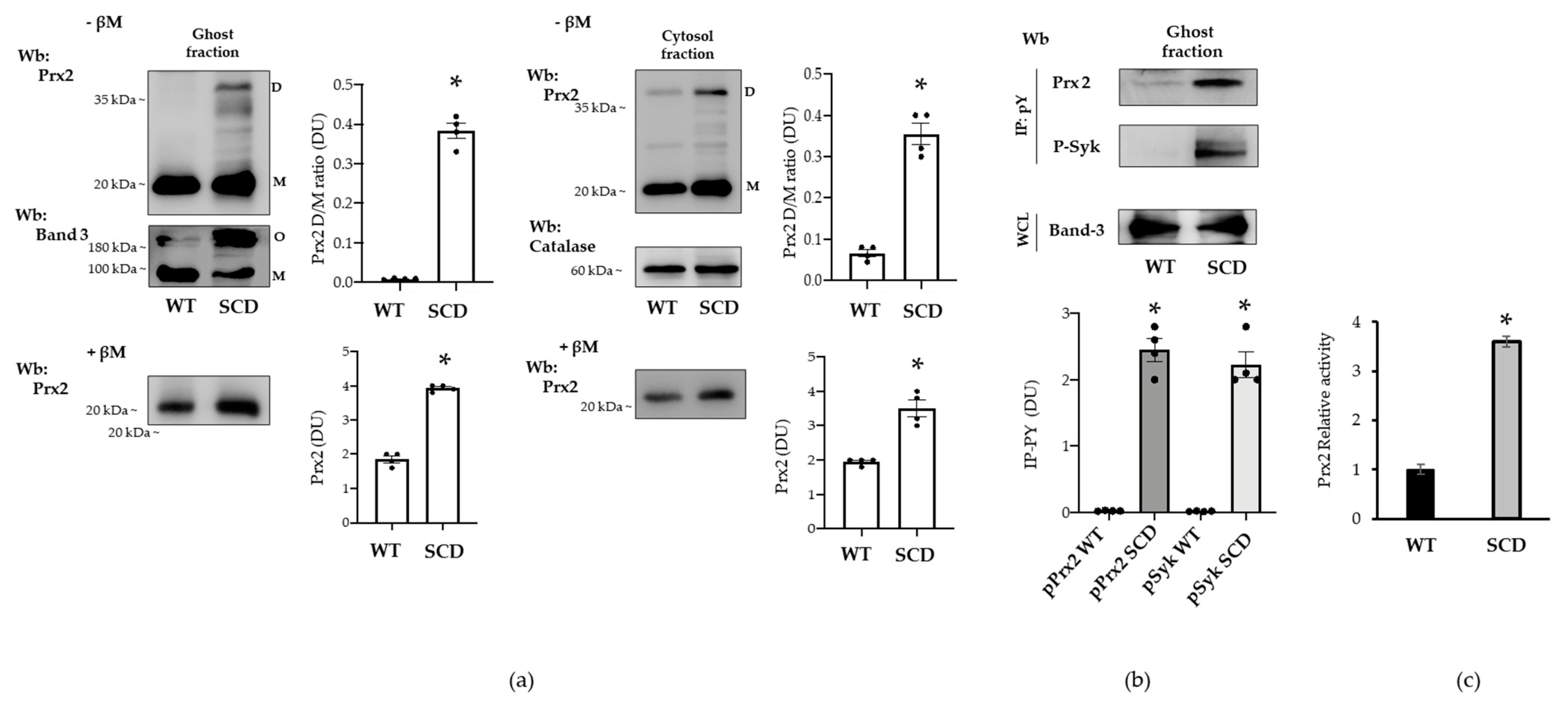 Antioxidants 10 00206 g008