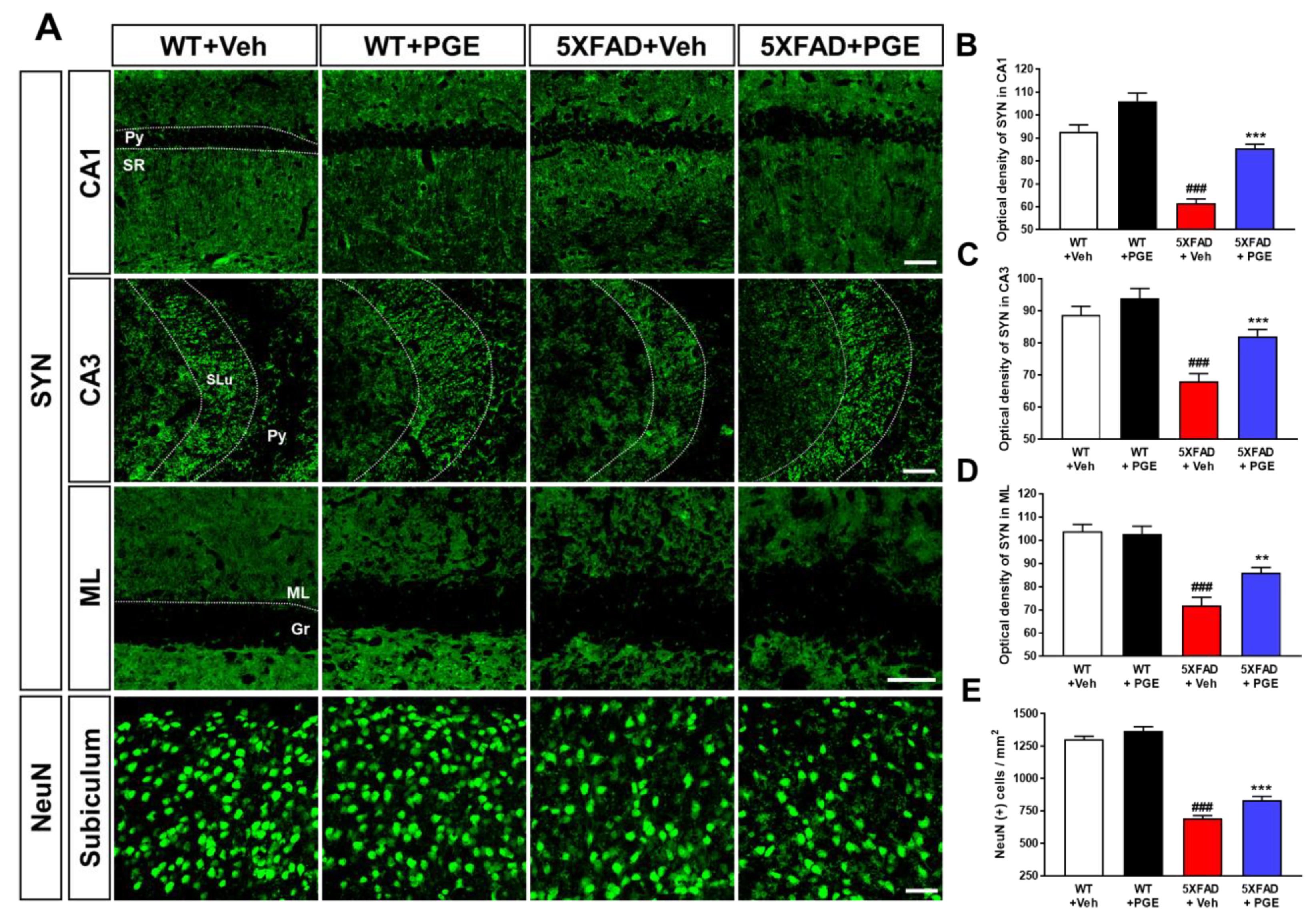 Antioxidants 10 00207 g004