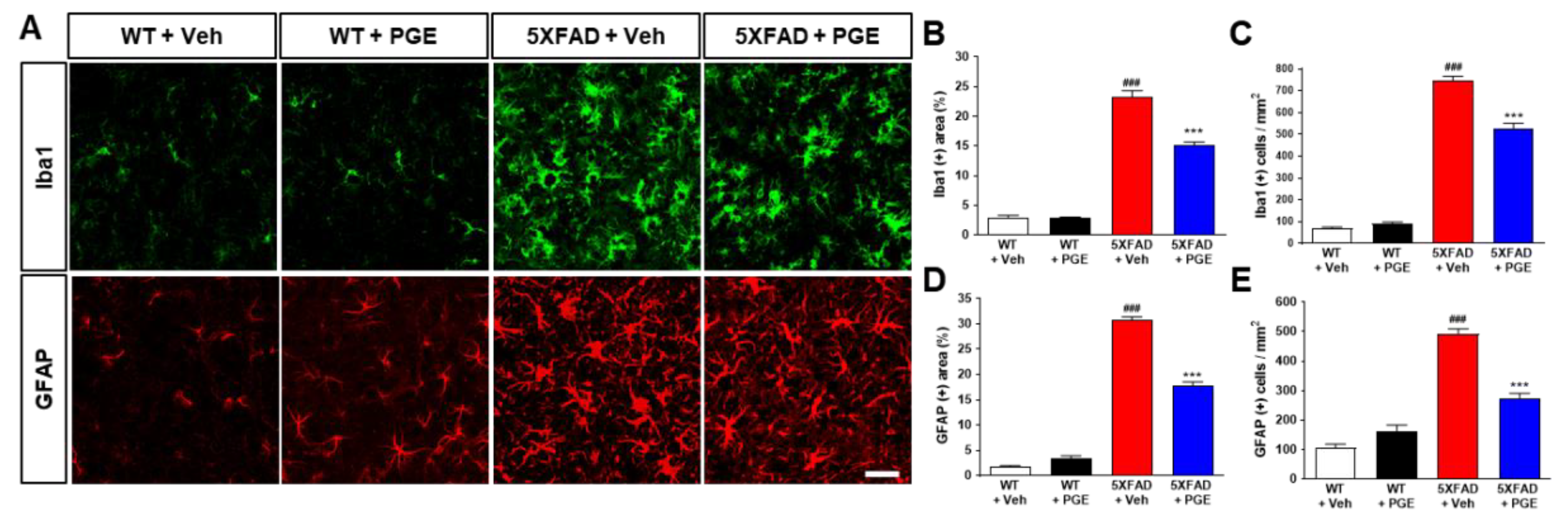 Antioxidants 10 00207 g007