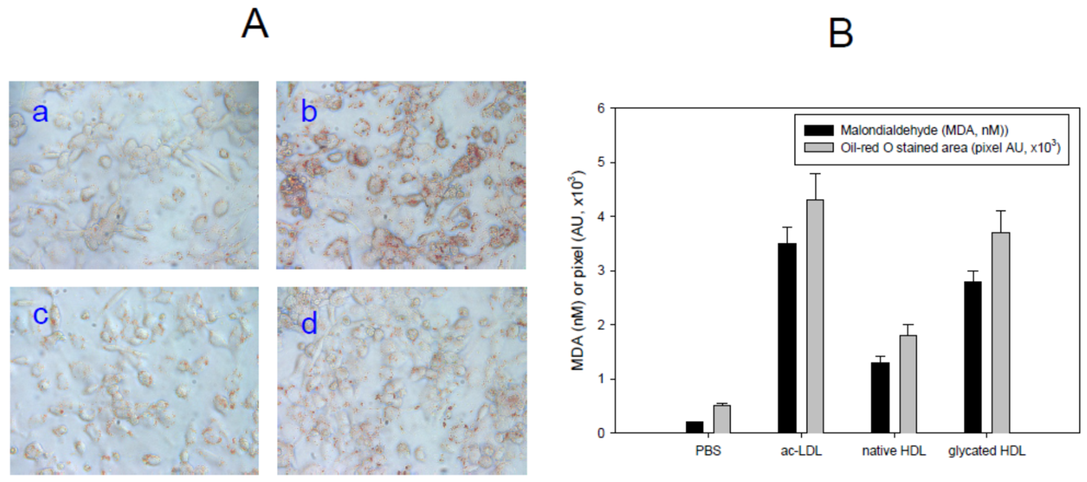 Antioxidants 10 00209 g003