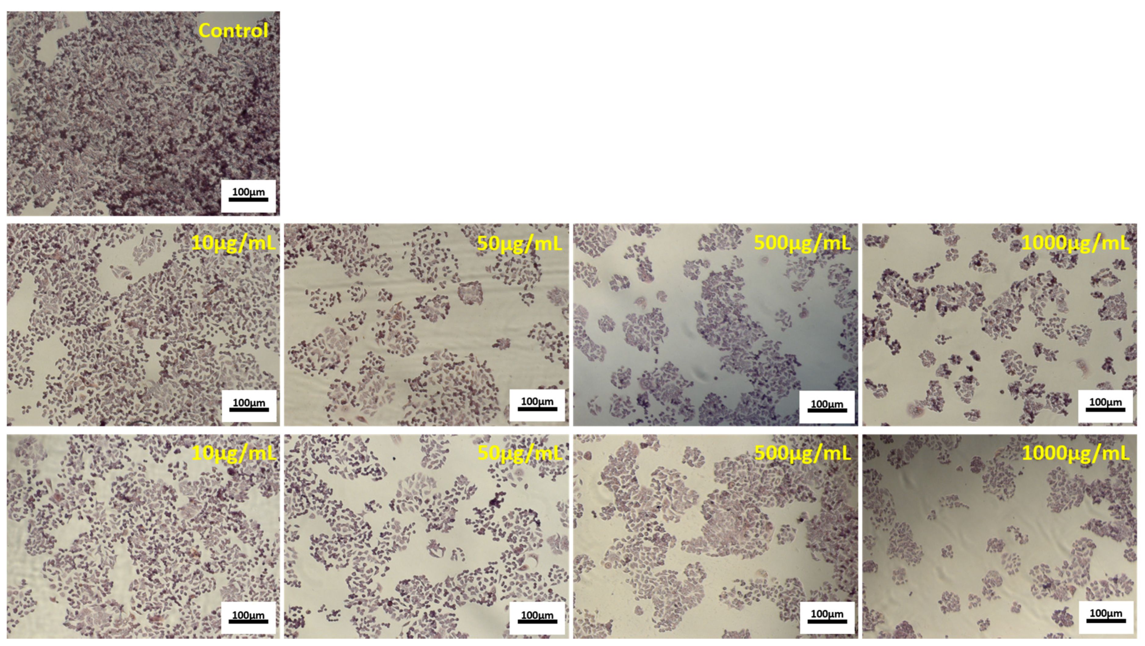 Antioxidants 10 00222 g004