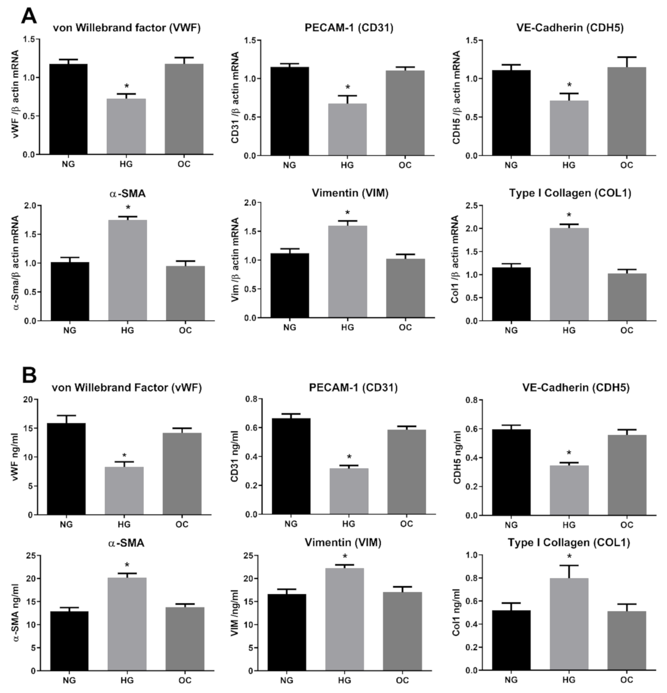 Antioxidants 10 00224 g001
