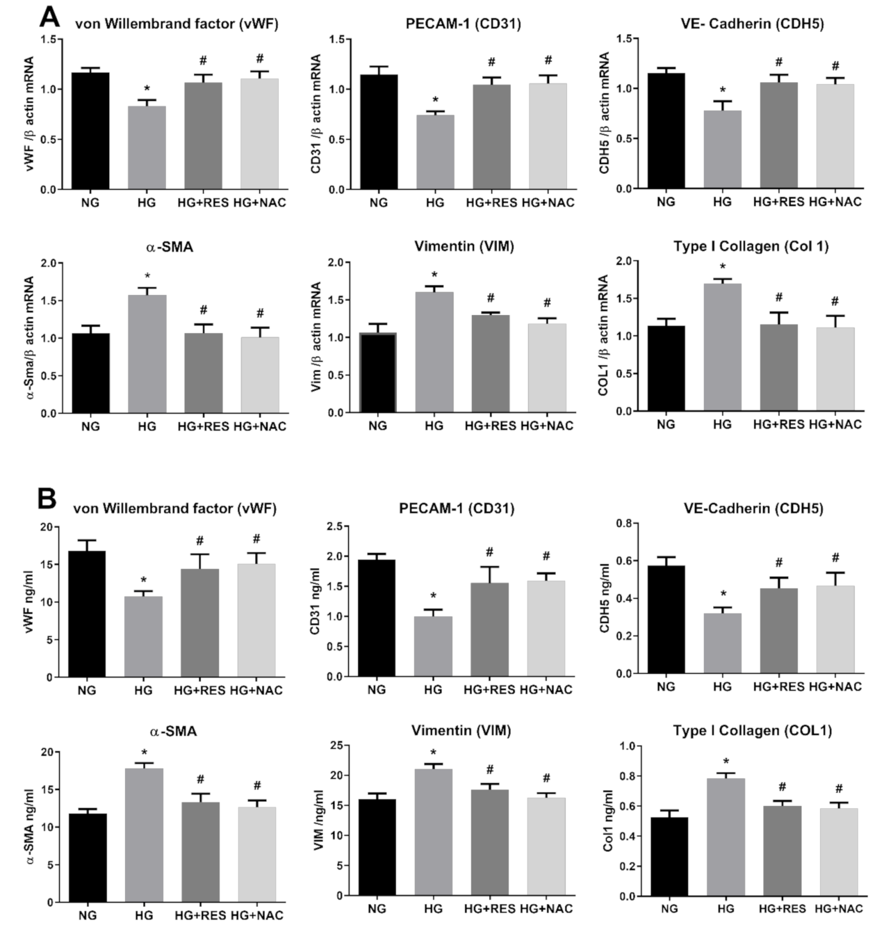 Antioxidants 10 00224 g003