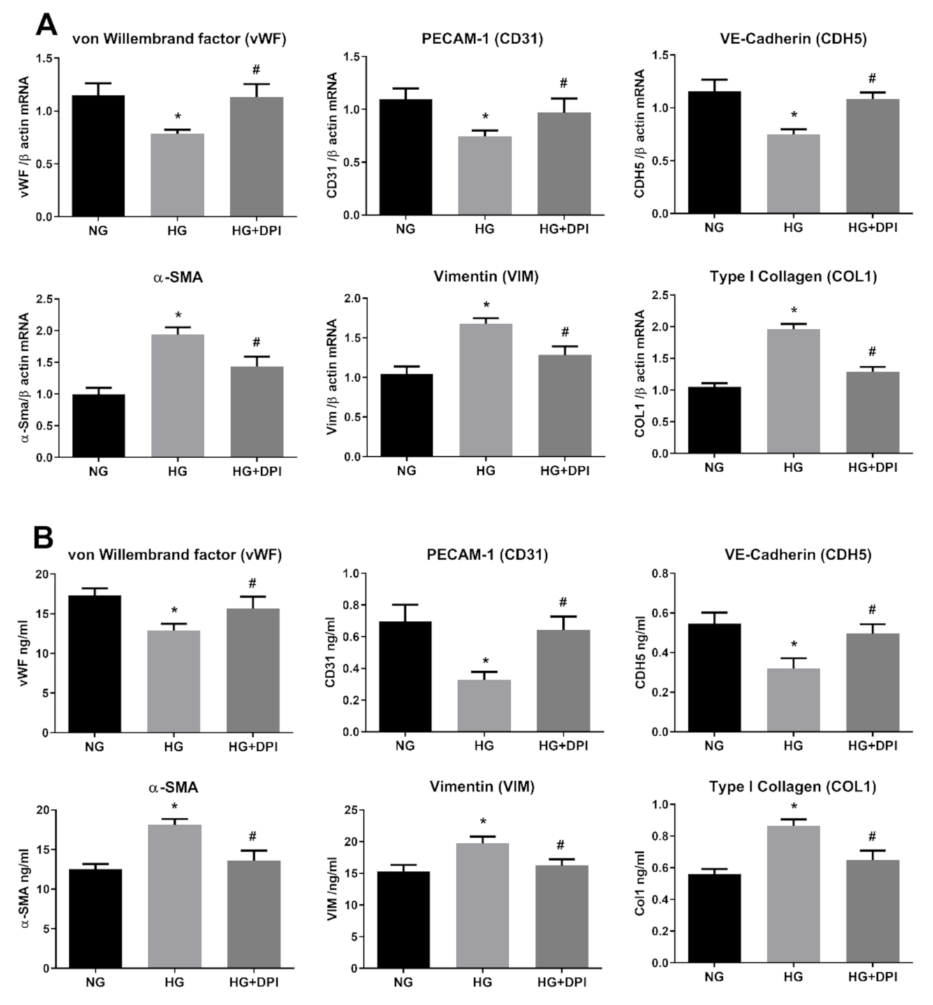 Antioxidants 10 00224 g006