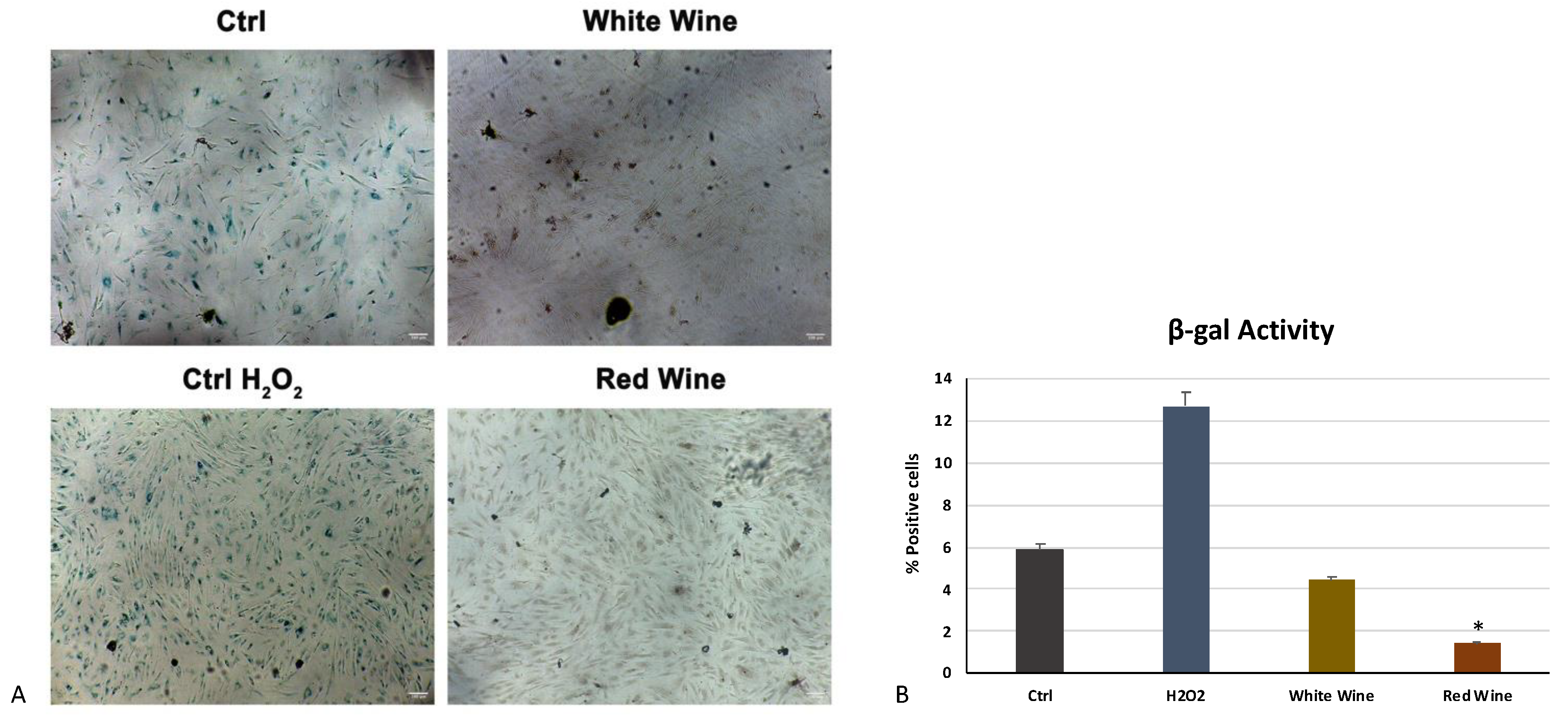 Antioxidants 10 00227 g005