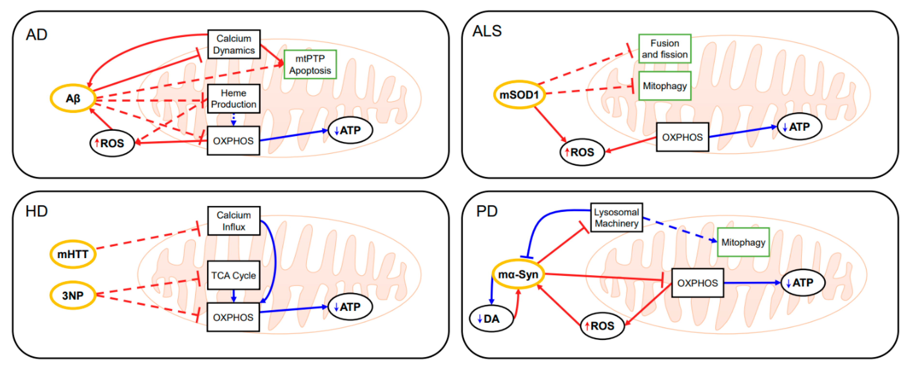 Antioxidants 10 00229 g008