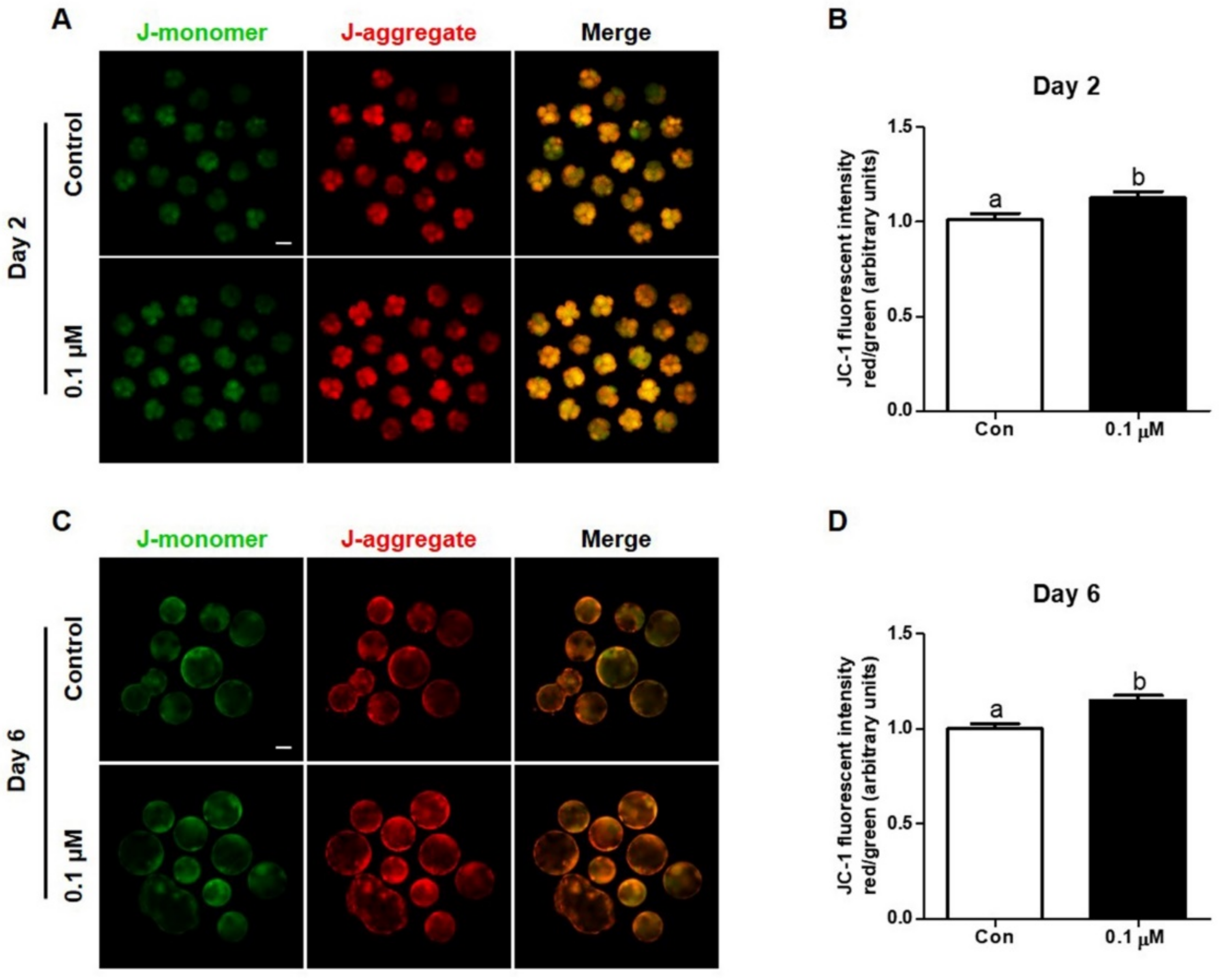 Antioxidants 10 00230 g004