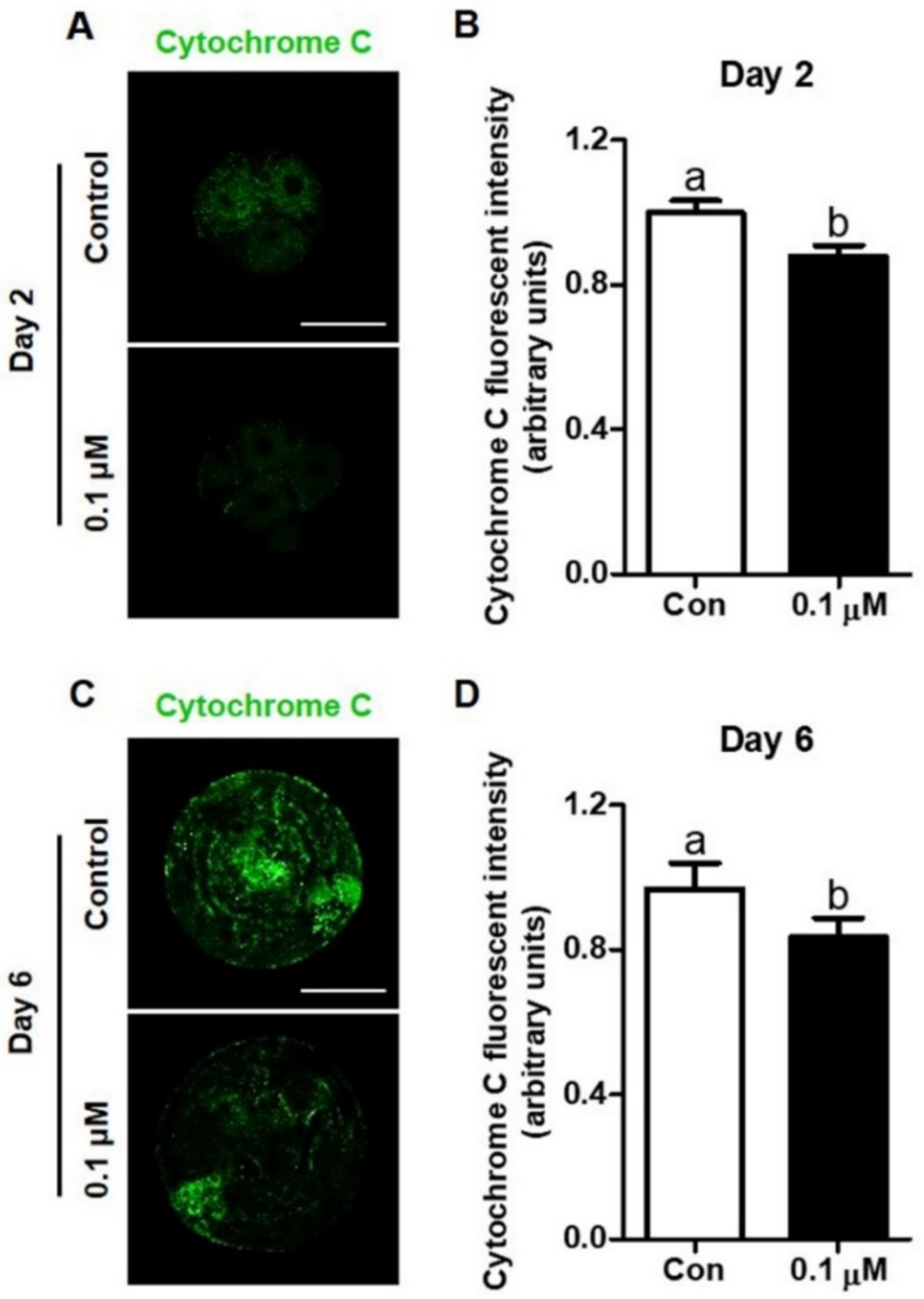 Antioxidants 10 00230 g005