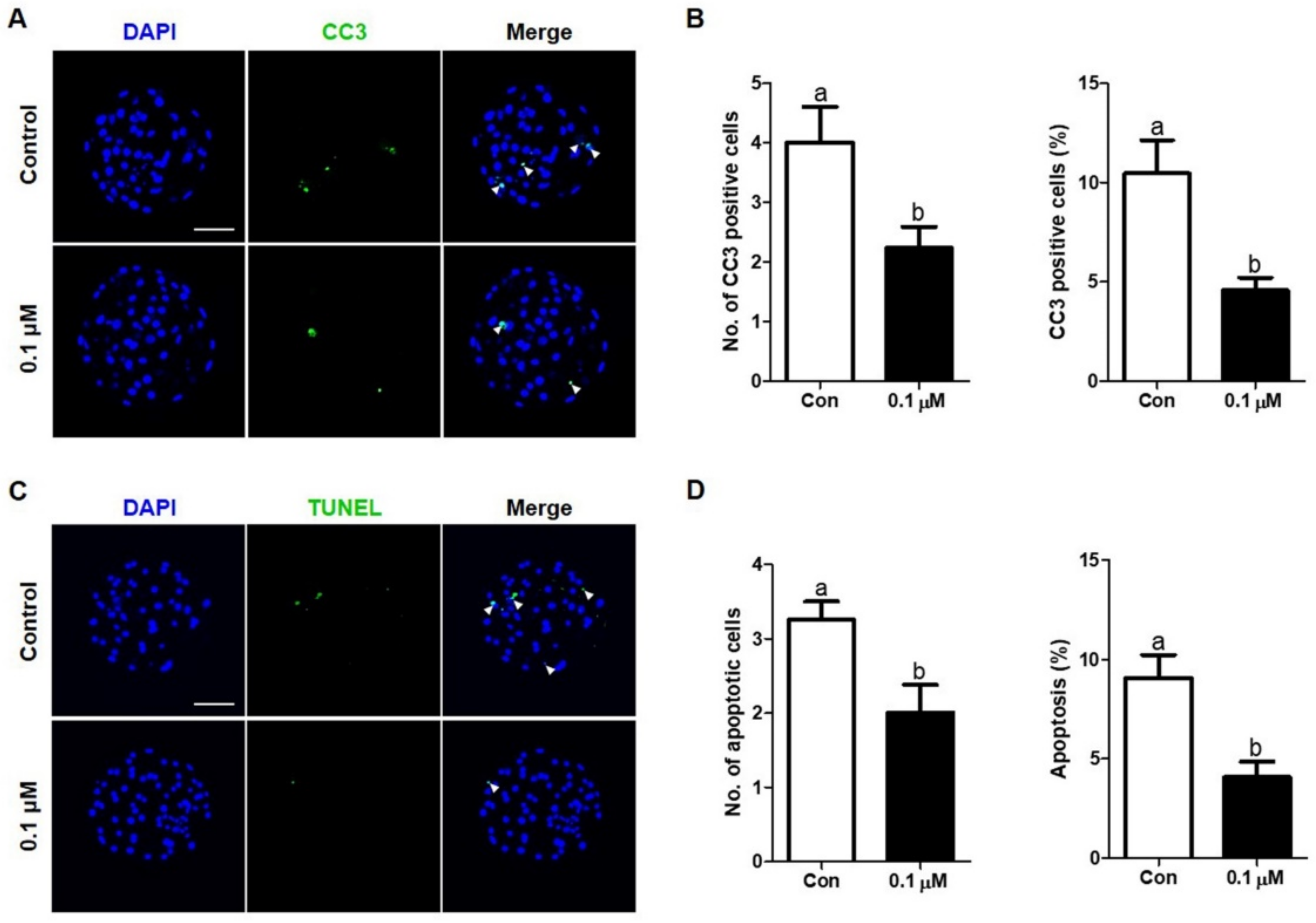 Antioxidants 10 00230 g006